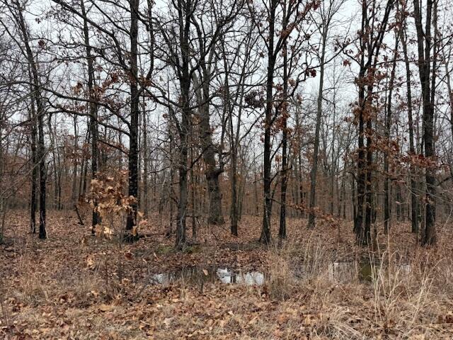 6.47 Acres Hawkweed Trail Property Photo 3