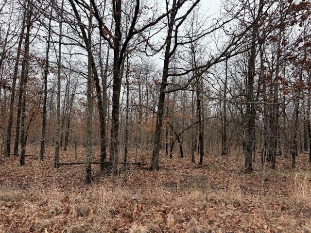 6.47 Acres Hawkweed Trail Property Photo 4