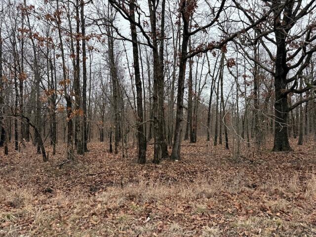 6.47 Acres Hawkweed Trail Property Photo 5