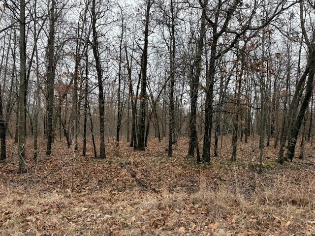 6.47 Acres Hawkweed Trail Property Photo 6