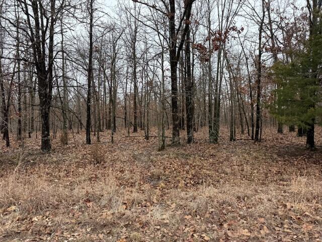 6.47 Acres Hawkweed Trail Property Photo 7