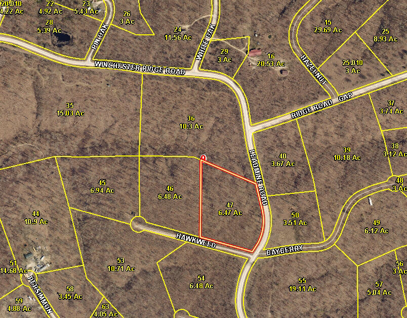 6.47 Acres Hawkweed Trail Property Photo 8