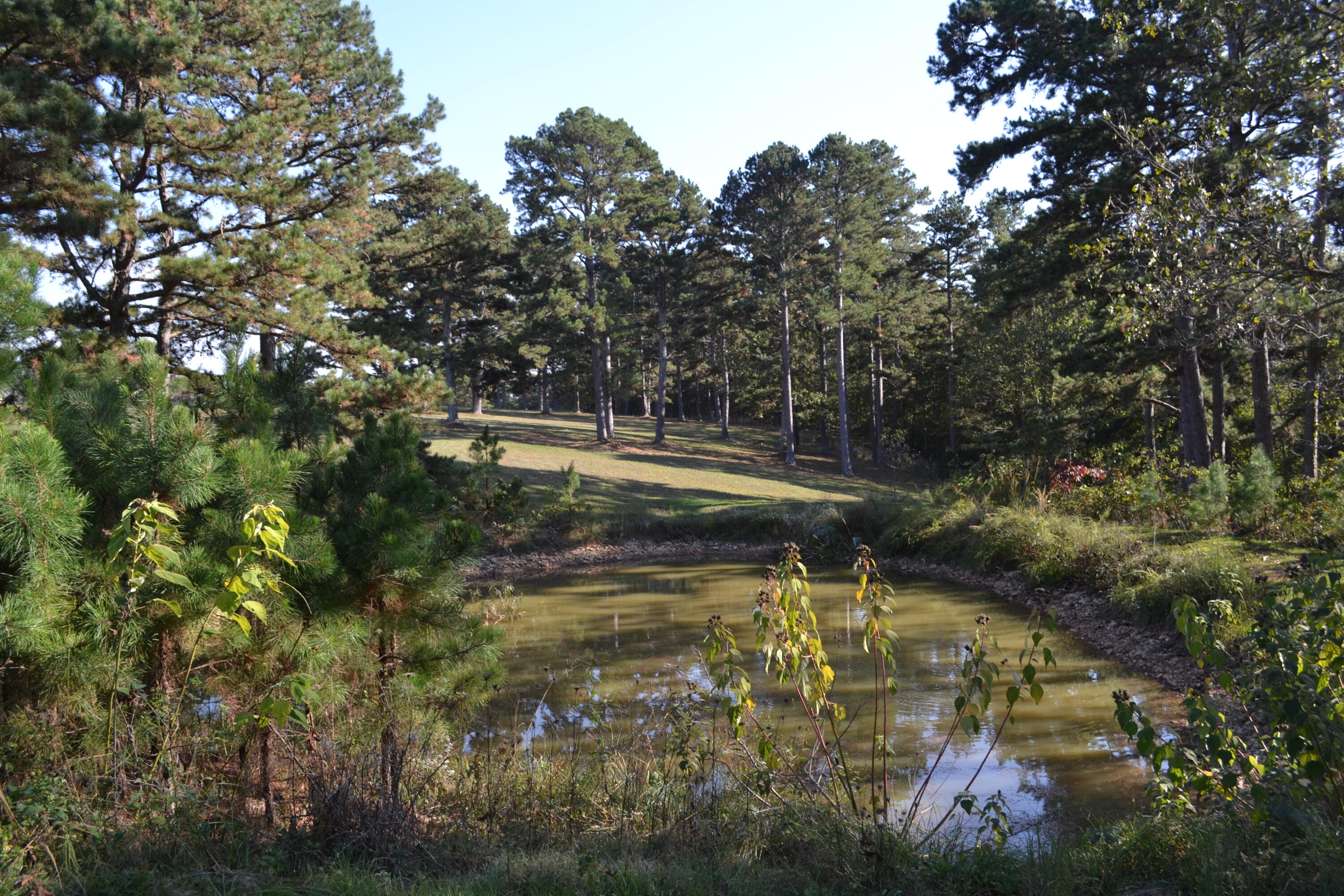33202 East St Highway 14 Highway Property Photo 9