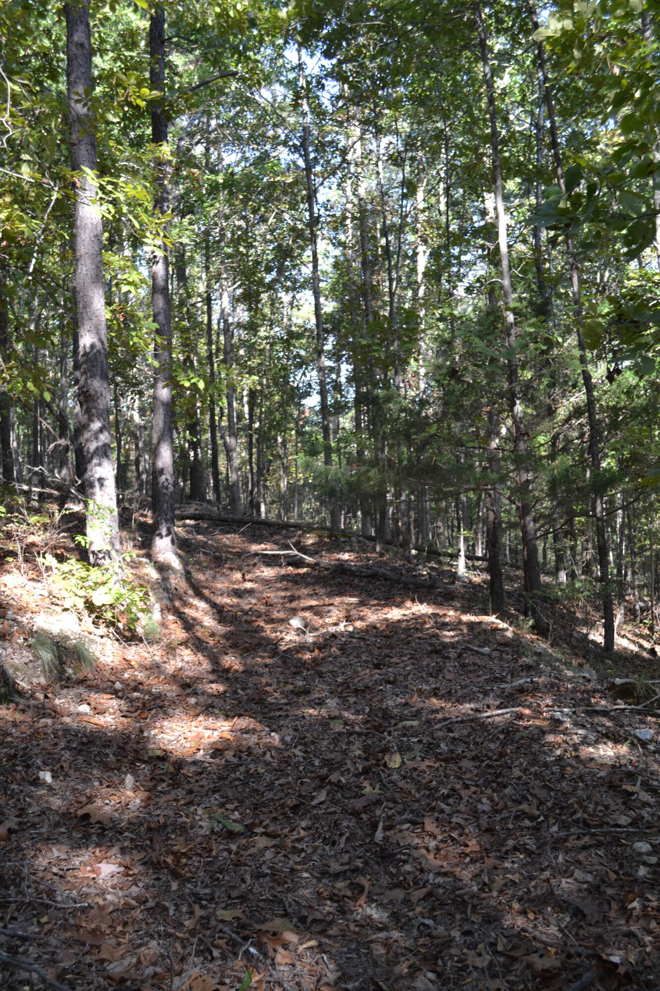 33202 East St Highway 14 Highway Property Photo 12
