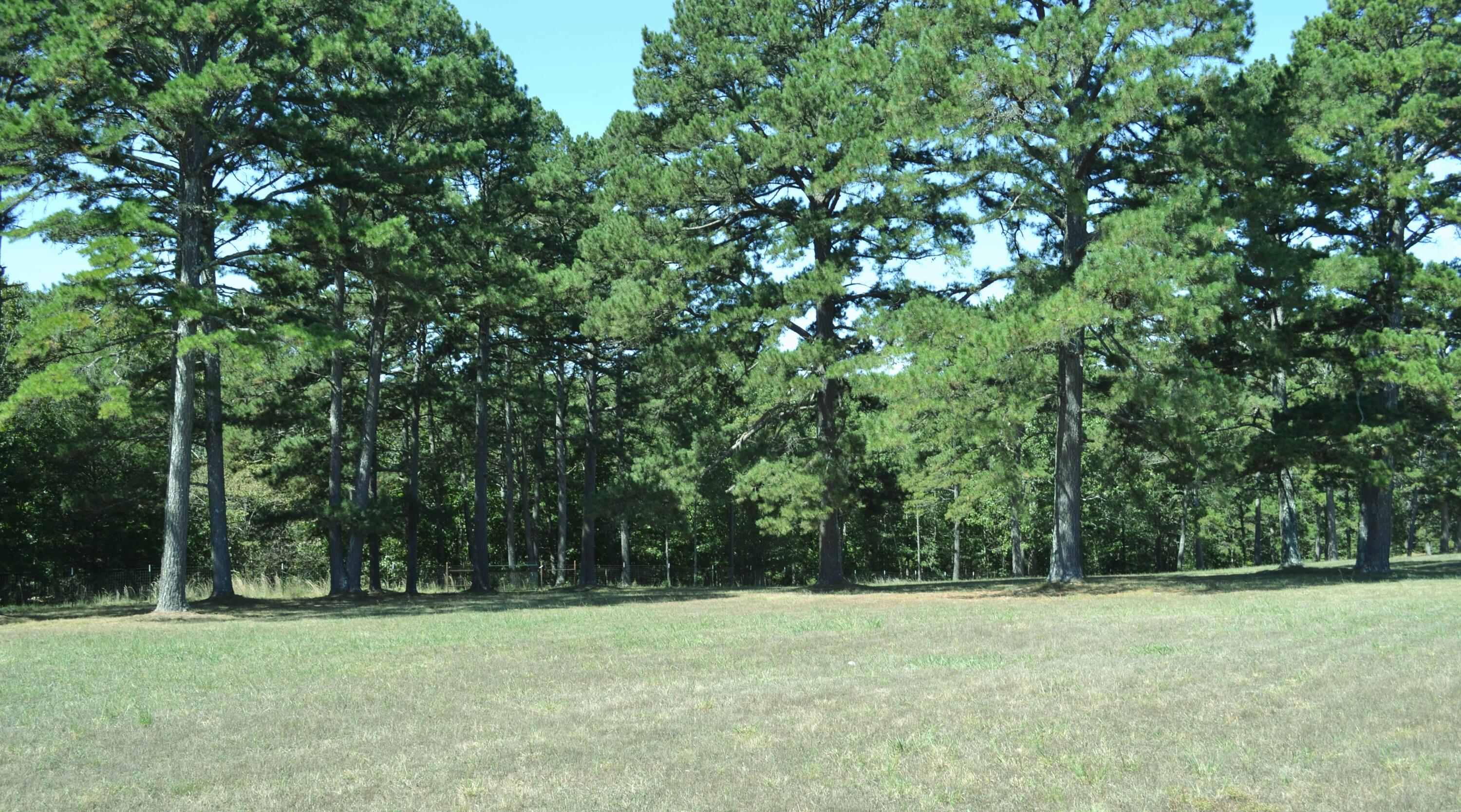 33202 East St Highway 14 Highway Property Photo 34