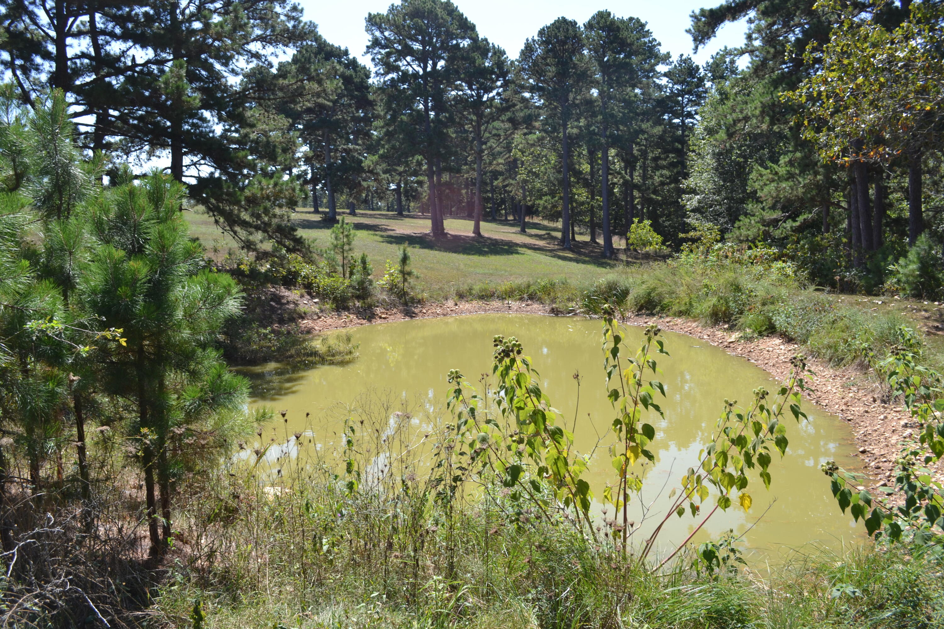 33202 East St Highway 14 Highway Property Photo 35