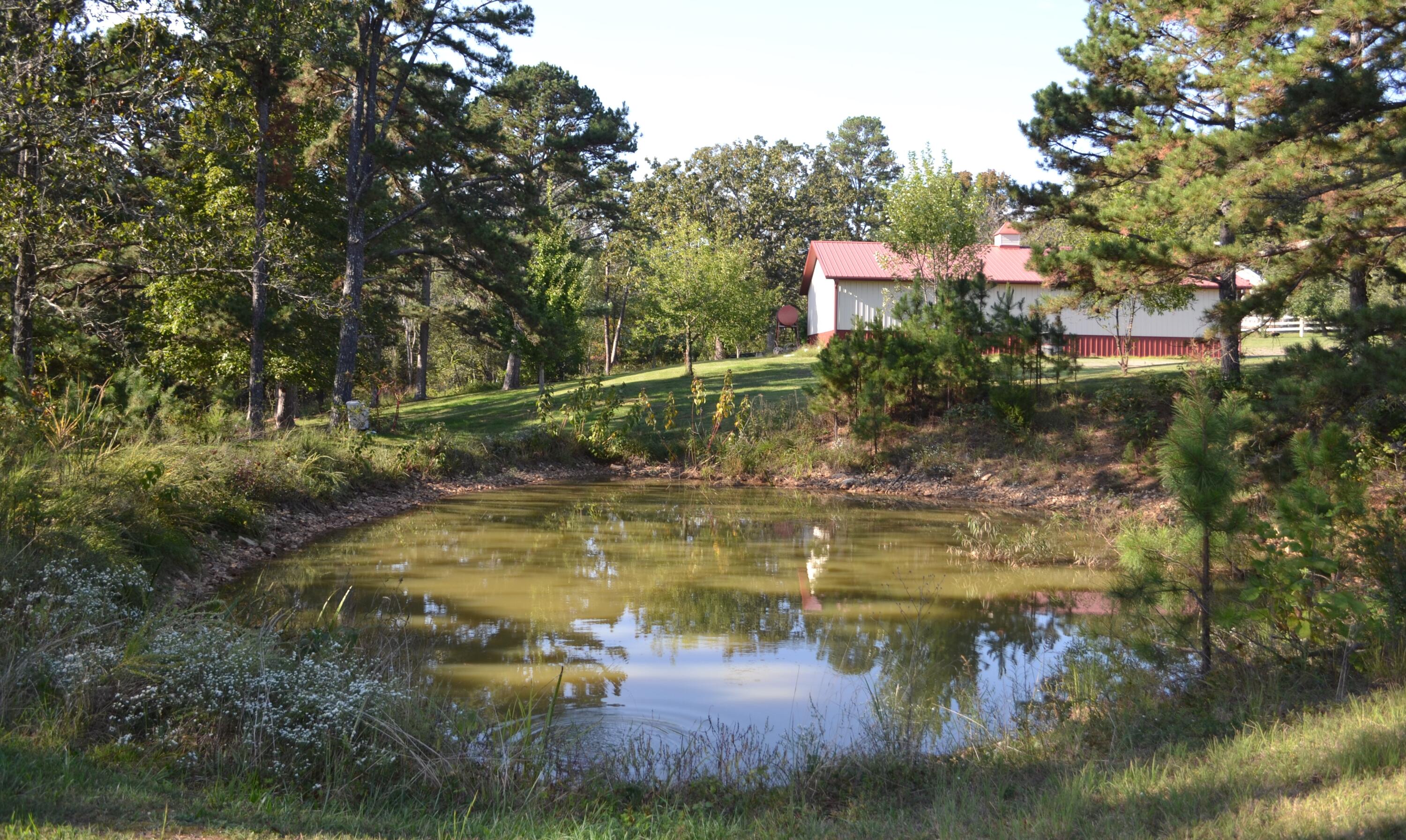 33202 Missouri State Highway East 14 Property Photo 11