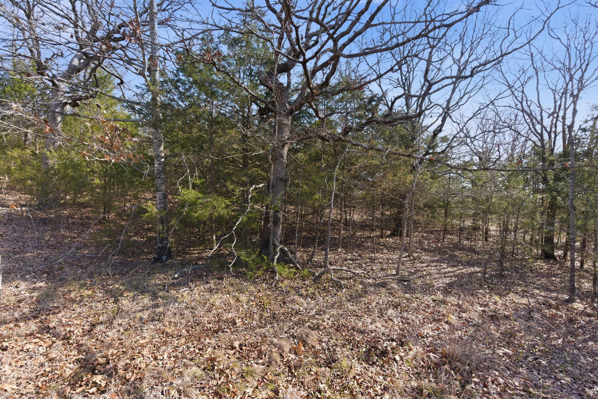 153 Windy Ridge Drive Property Photo 9