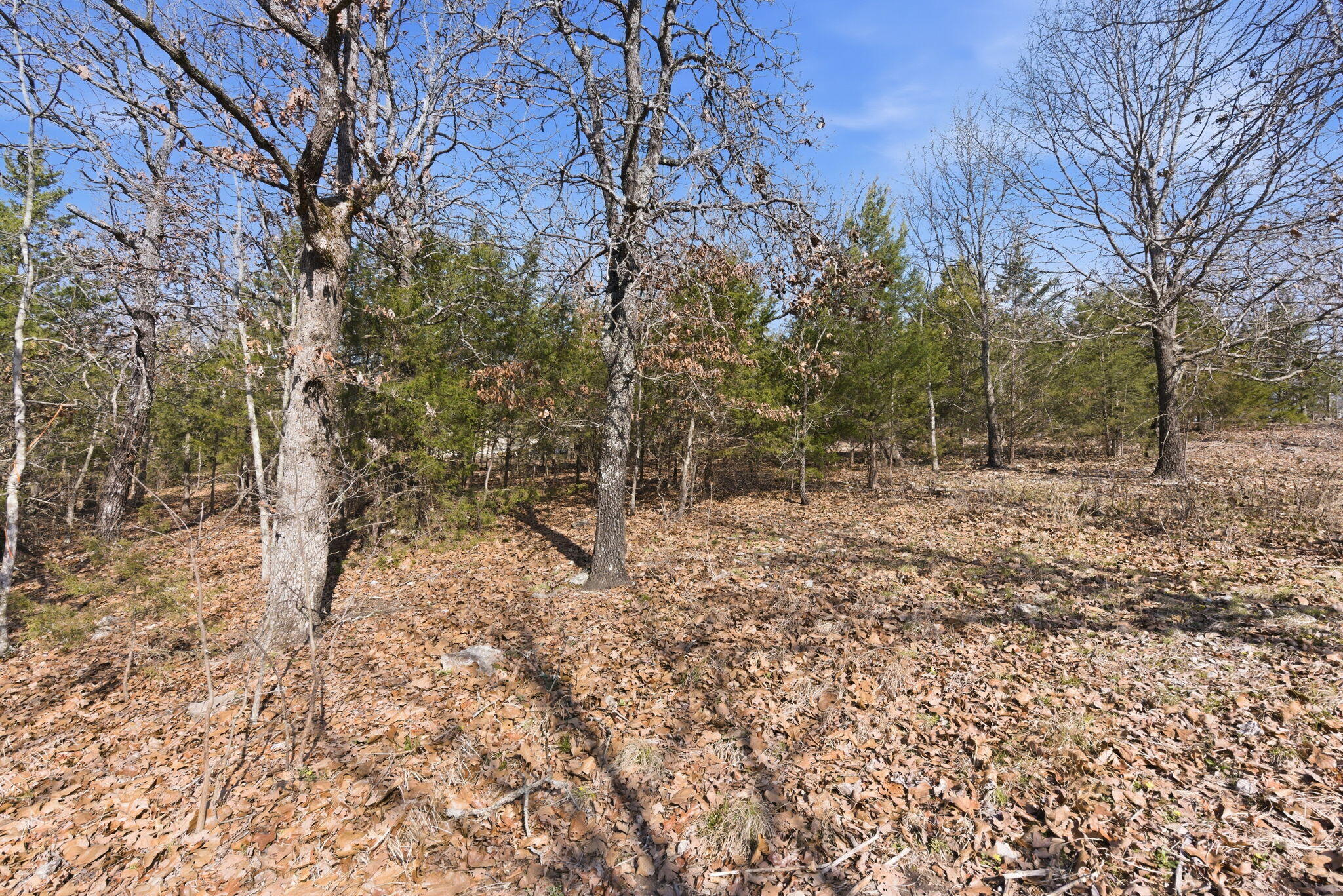 153 Windy Ridge Drive Property Photo 10