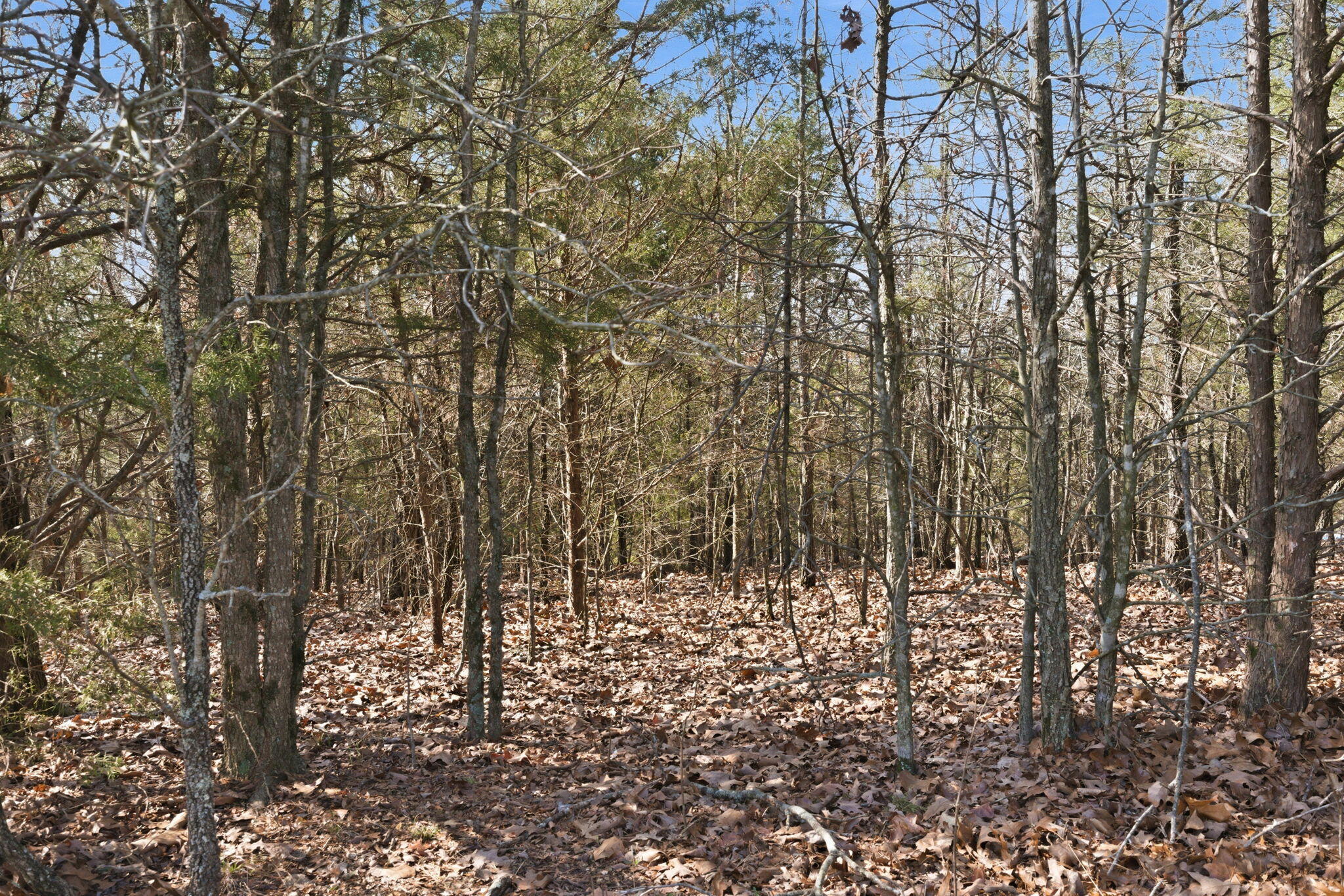 153 Windy Ridge Drive Property Photo 11