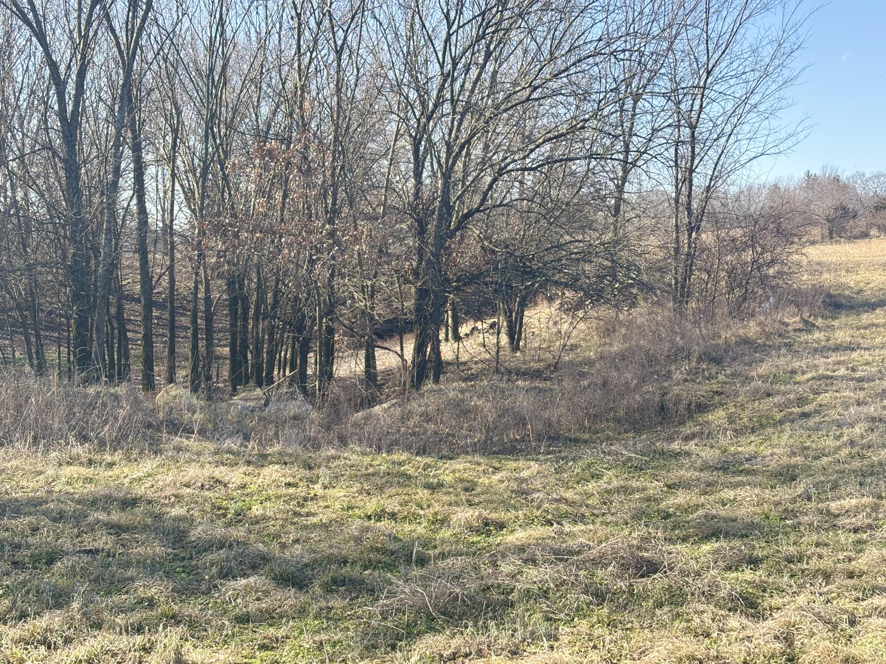 137 East Splitlog Avenue Property Photo 6