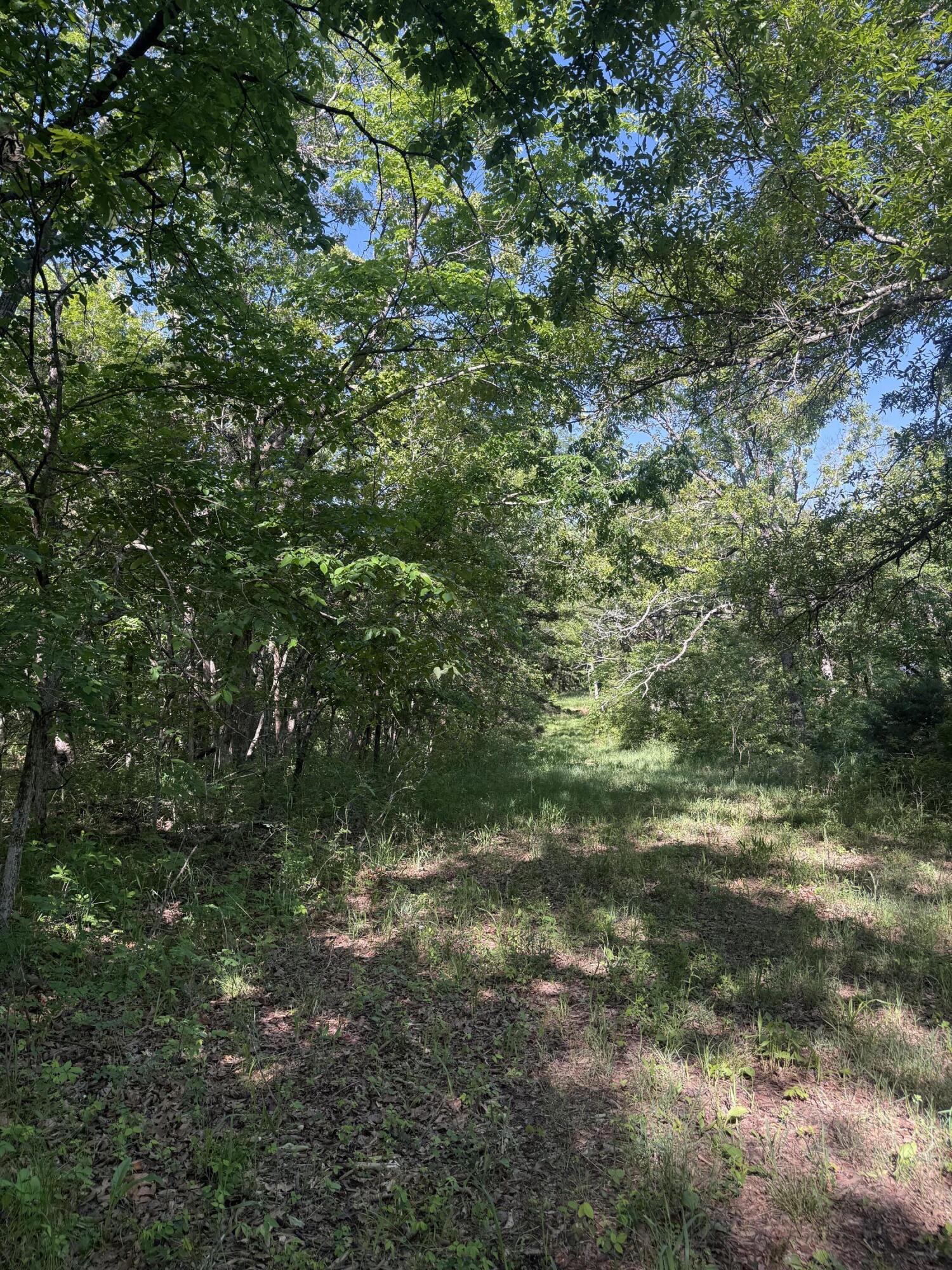 Tbd County Road 203 Property Photo 2
