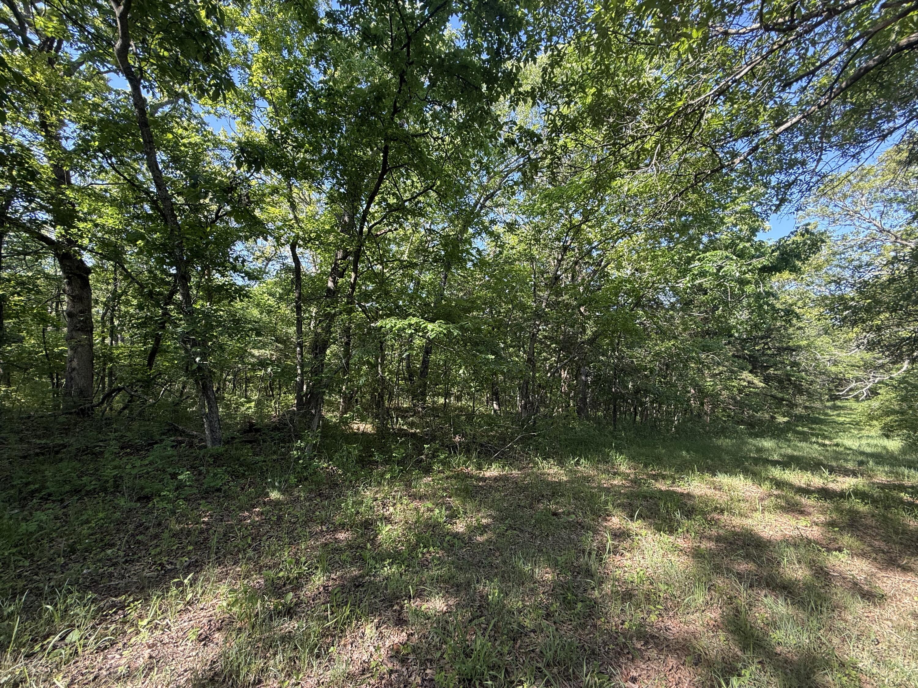 Tbd County Road 203 Property Photo 3