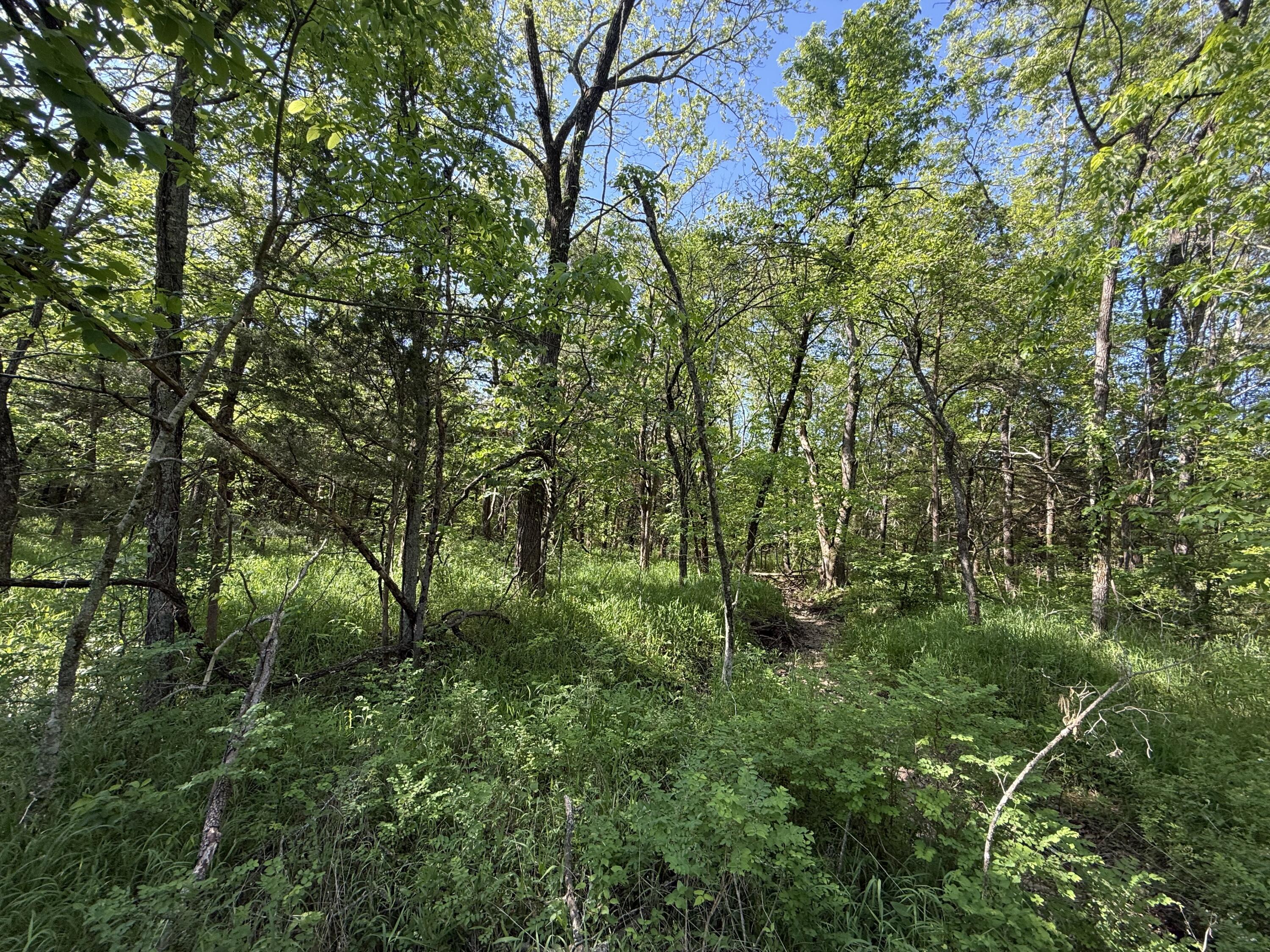Tbd County Road 203 Property Photo 7