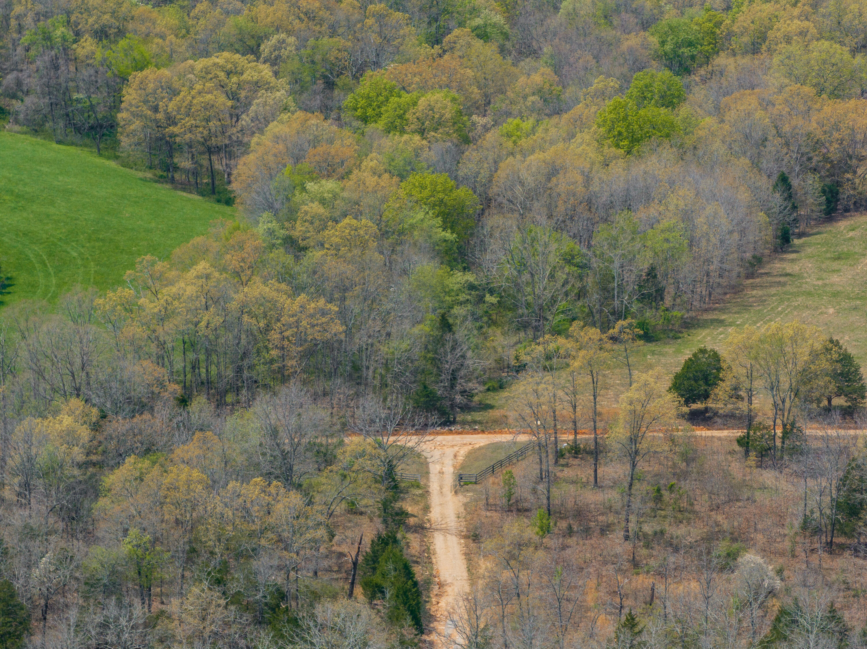 2722 Co Rd 347 Property Photo 5