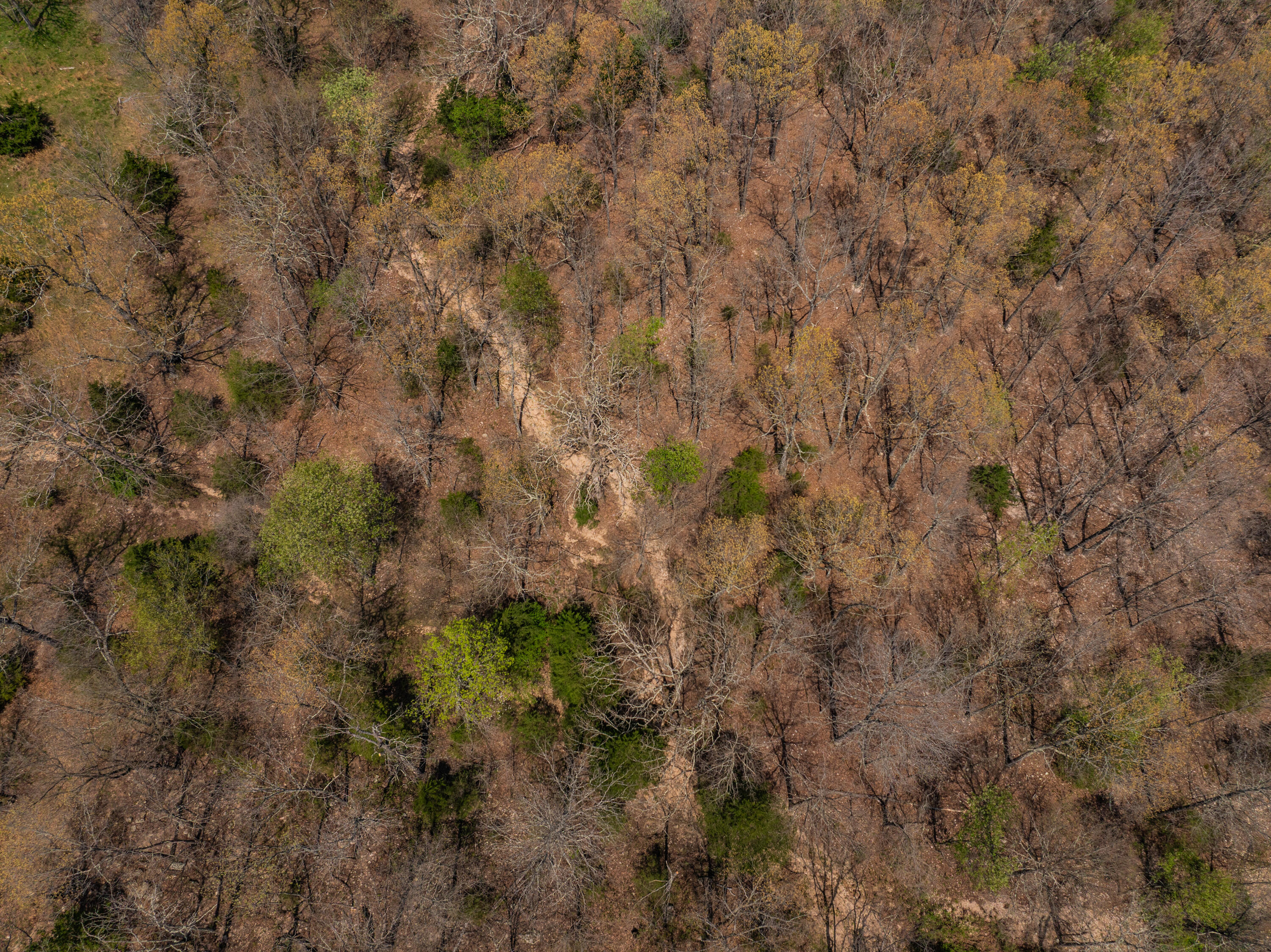 2722 Co Rd 347 Property Photo 23