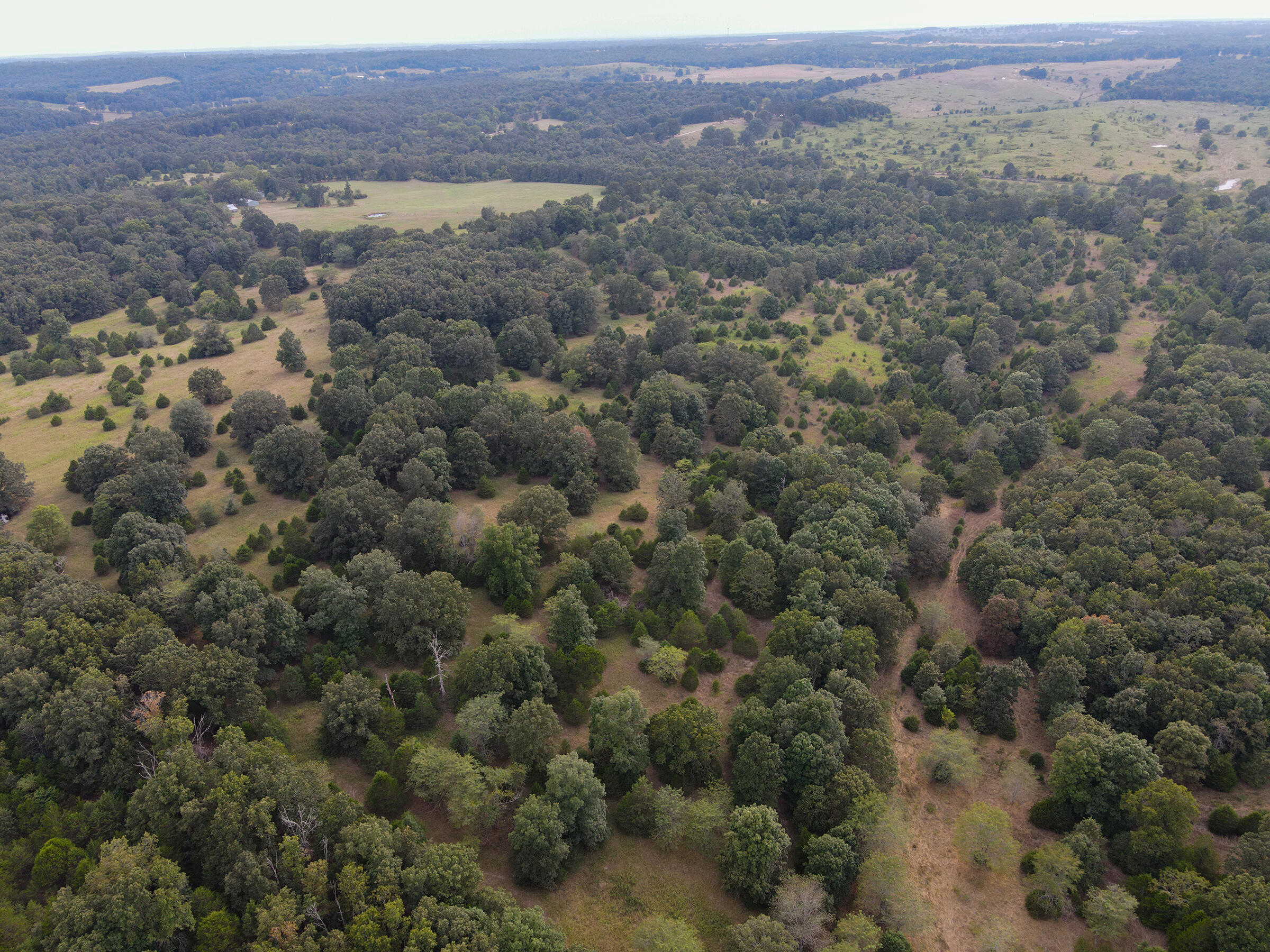 Tract 1 Co Rd 347 Property Photo 1