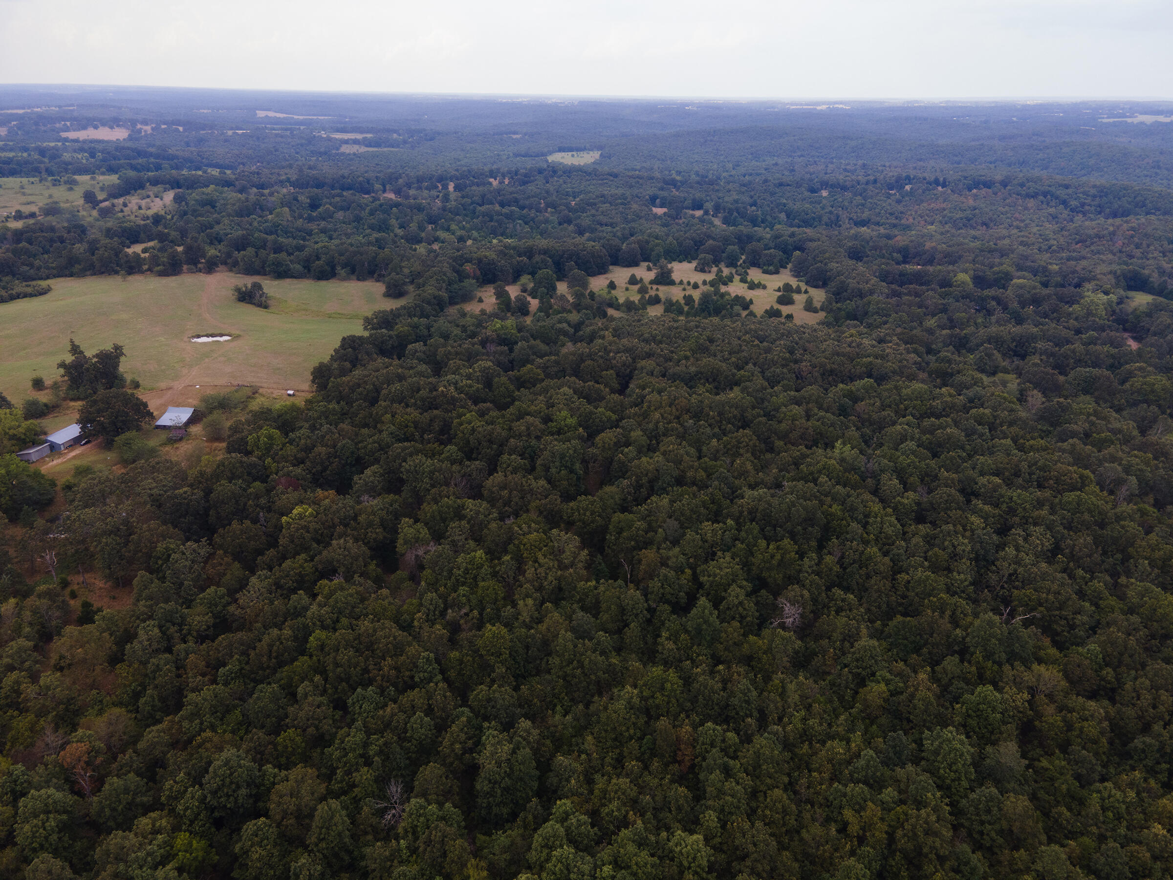 Tract 2 Co Rd 347 Property Photo 3