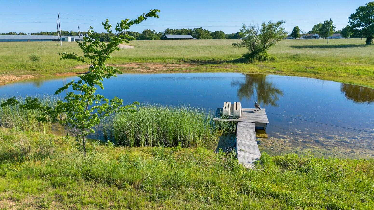 8708 Farm Road 2140 Property Photo 38