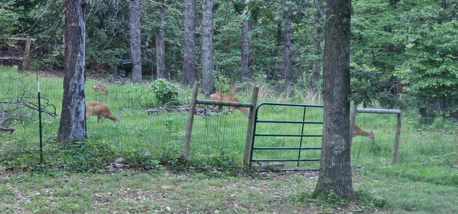 22351 South 672 Road Property Photo 28