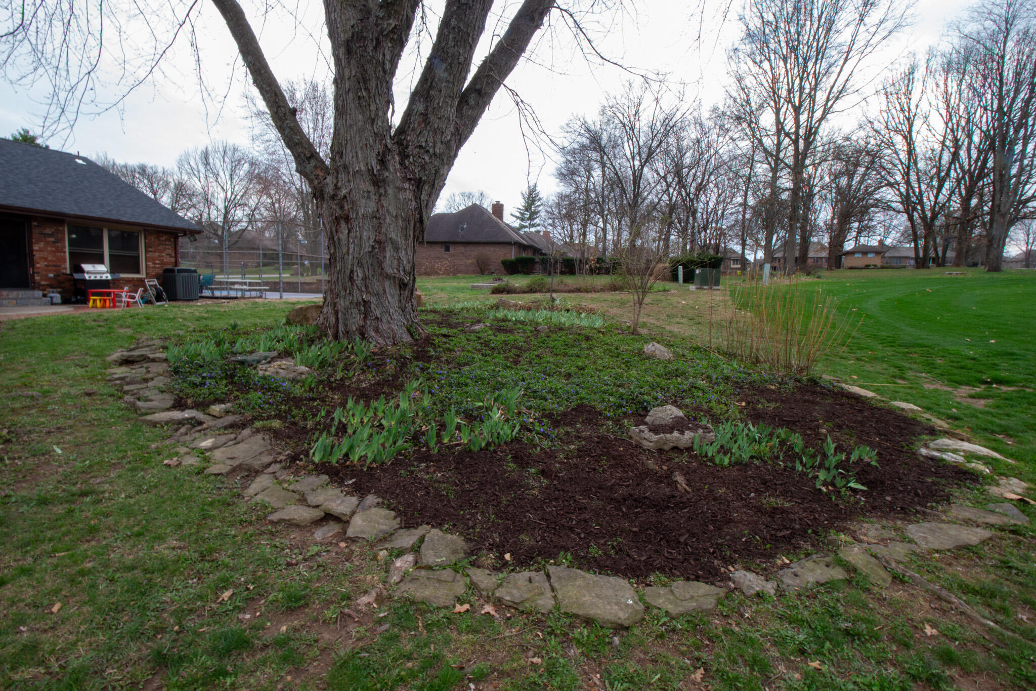 8420 Interlochen Drive Property Photo 73