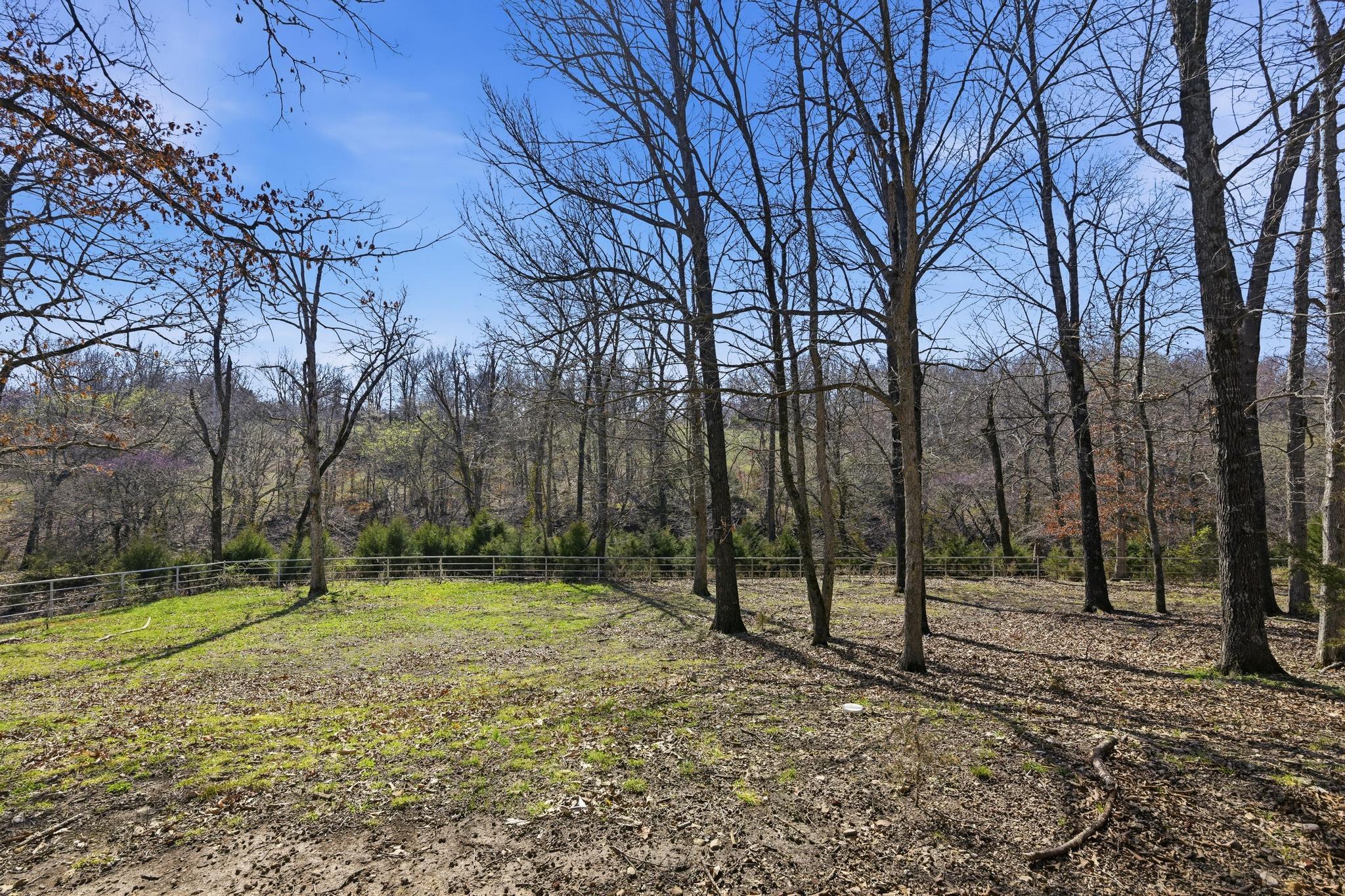 485 Jaguar Road Property Photo 50