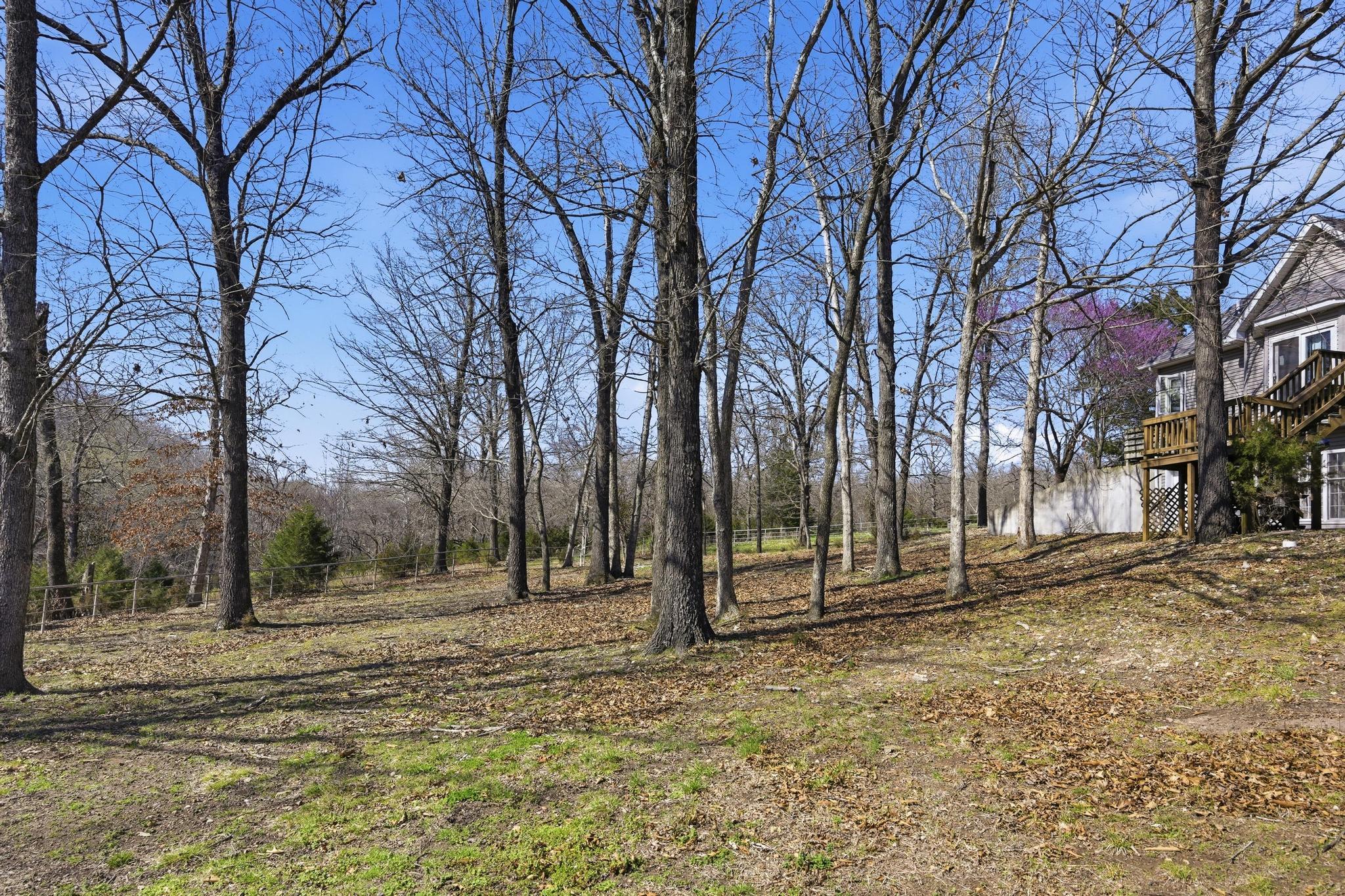 485 Jaguar Road Property Photo 52