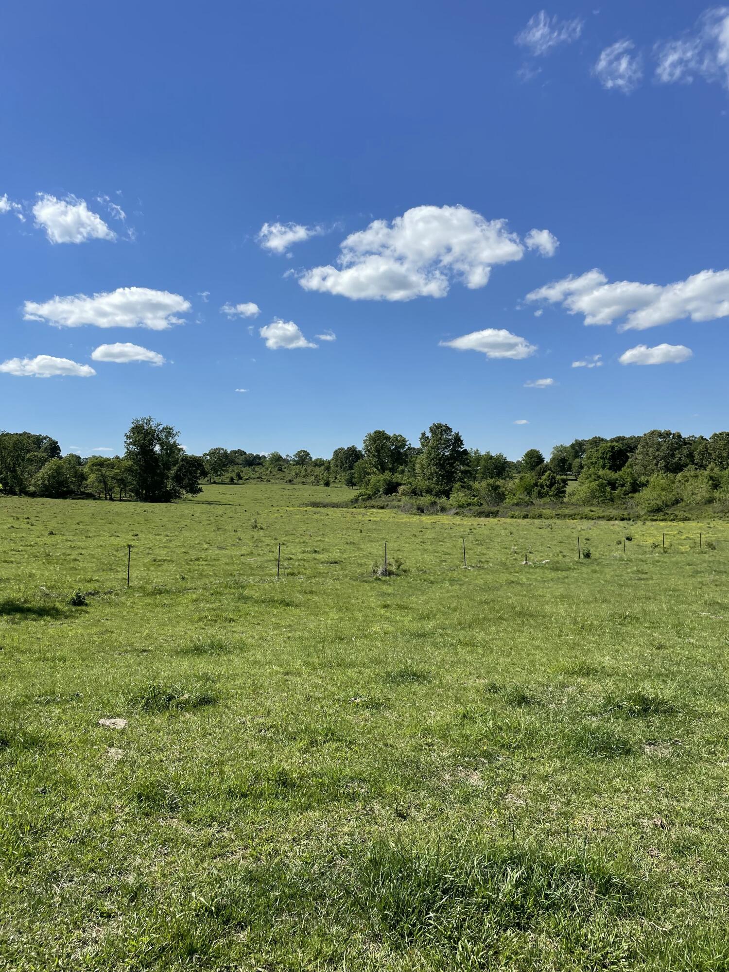 1499 County Road 380 Property Photo 19
