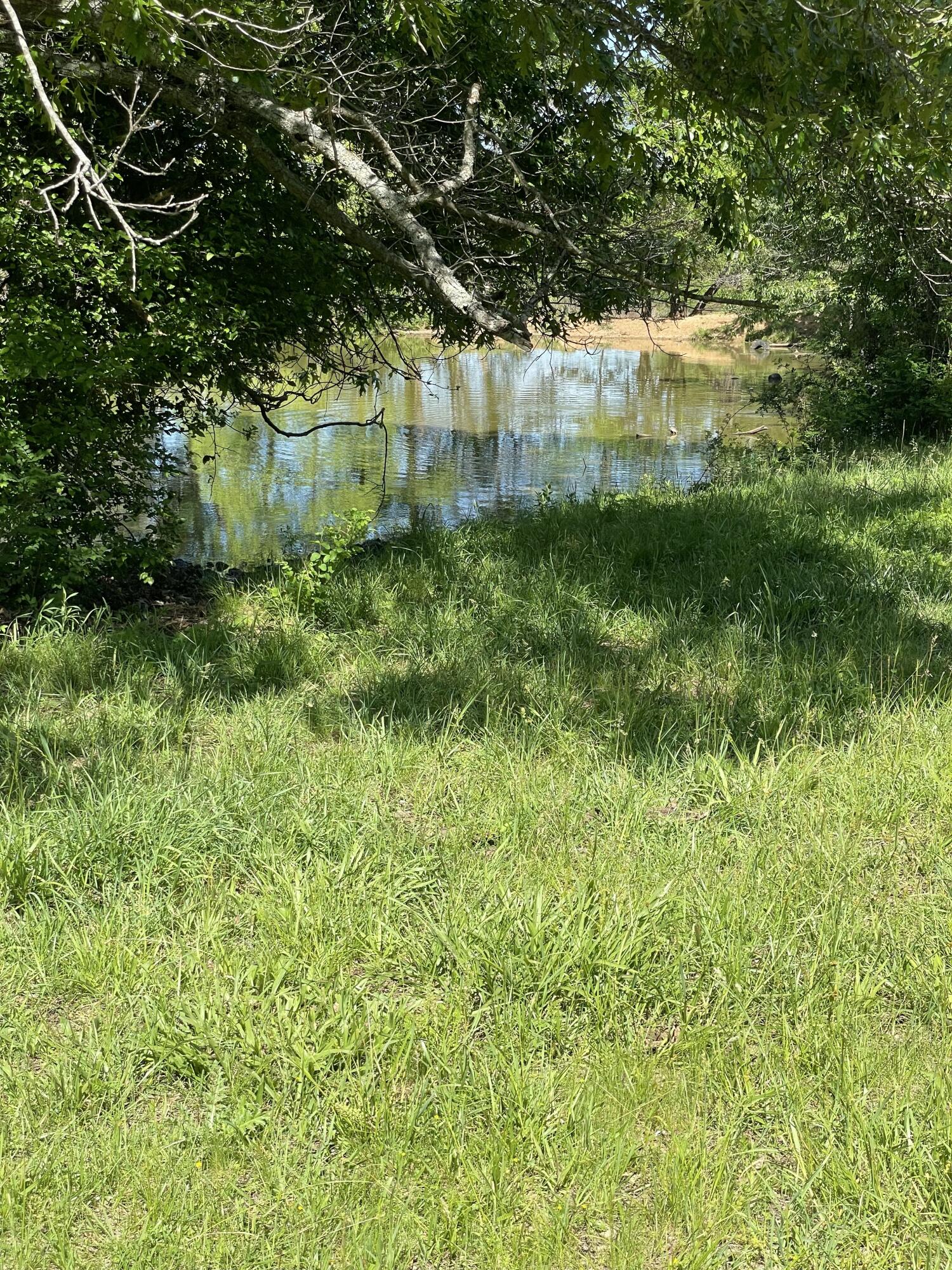 1499 County Road 380 Property Photo 33