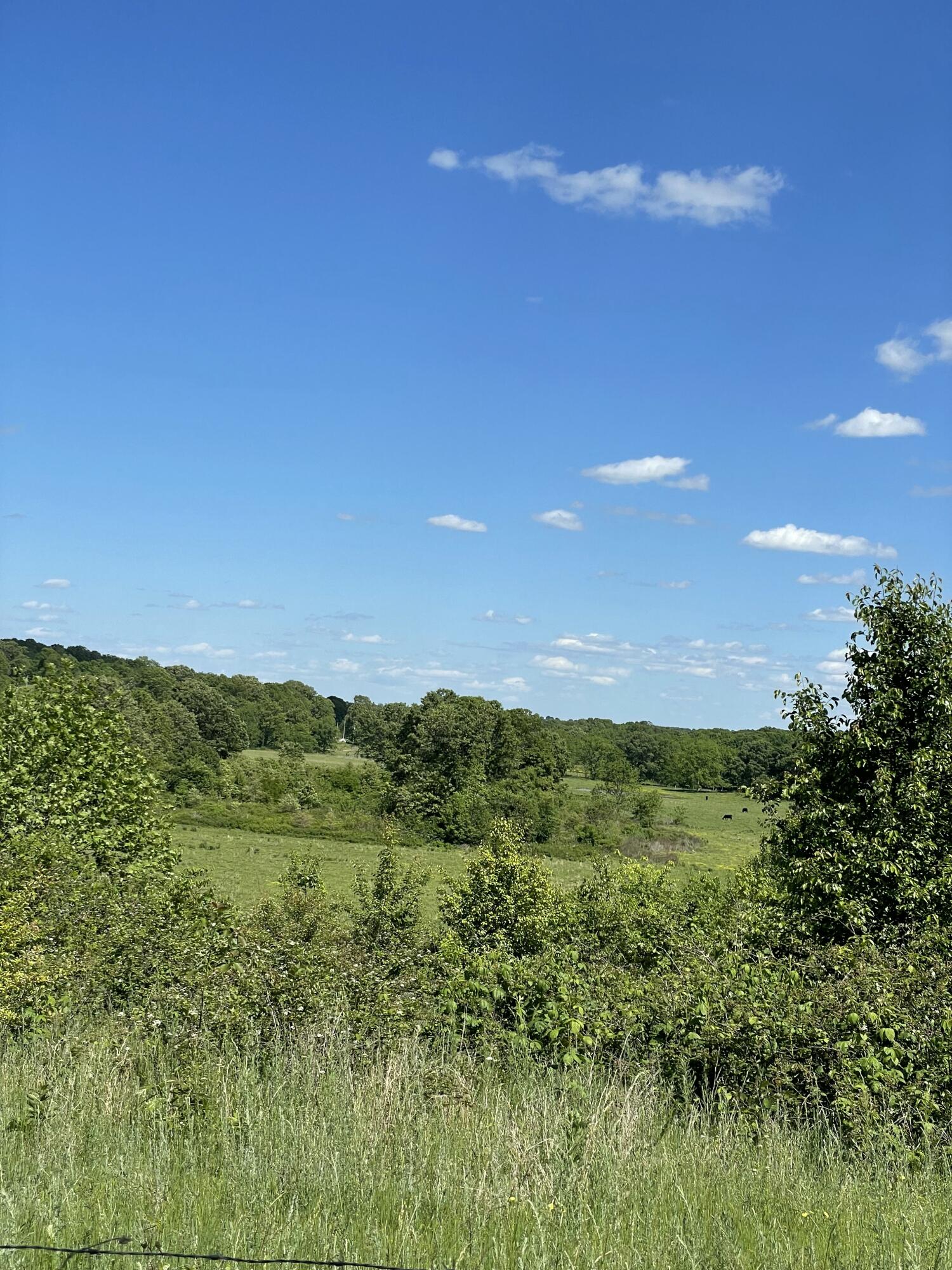 1499 County Road 380 Property Photo 37