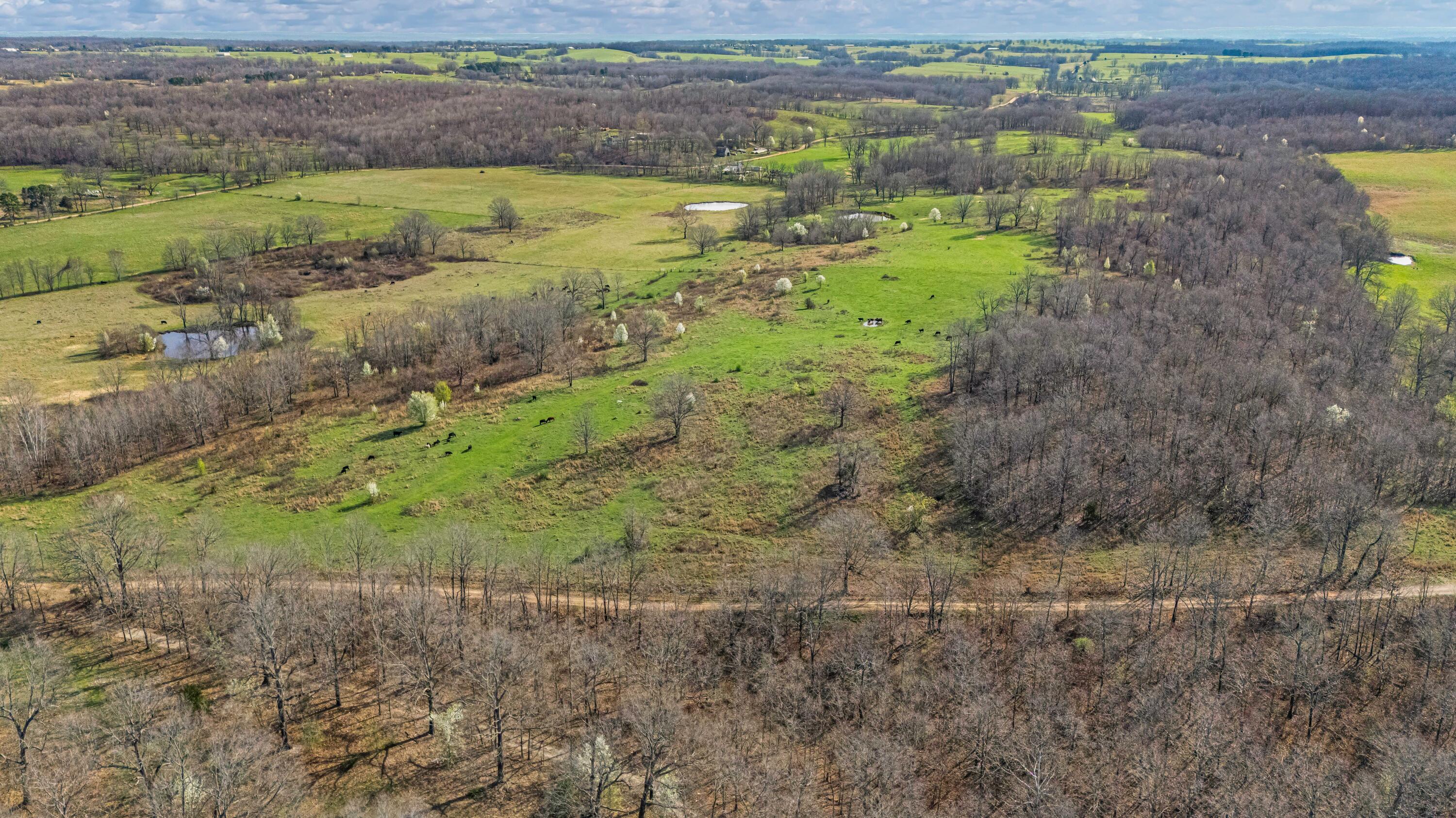 1499 County Road 380 Property Photo 101