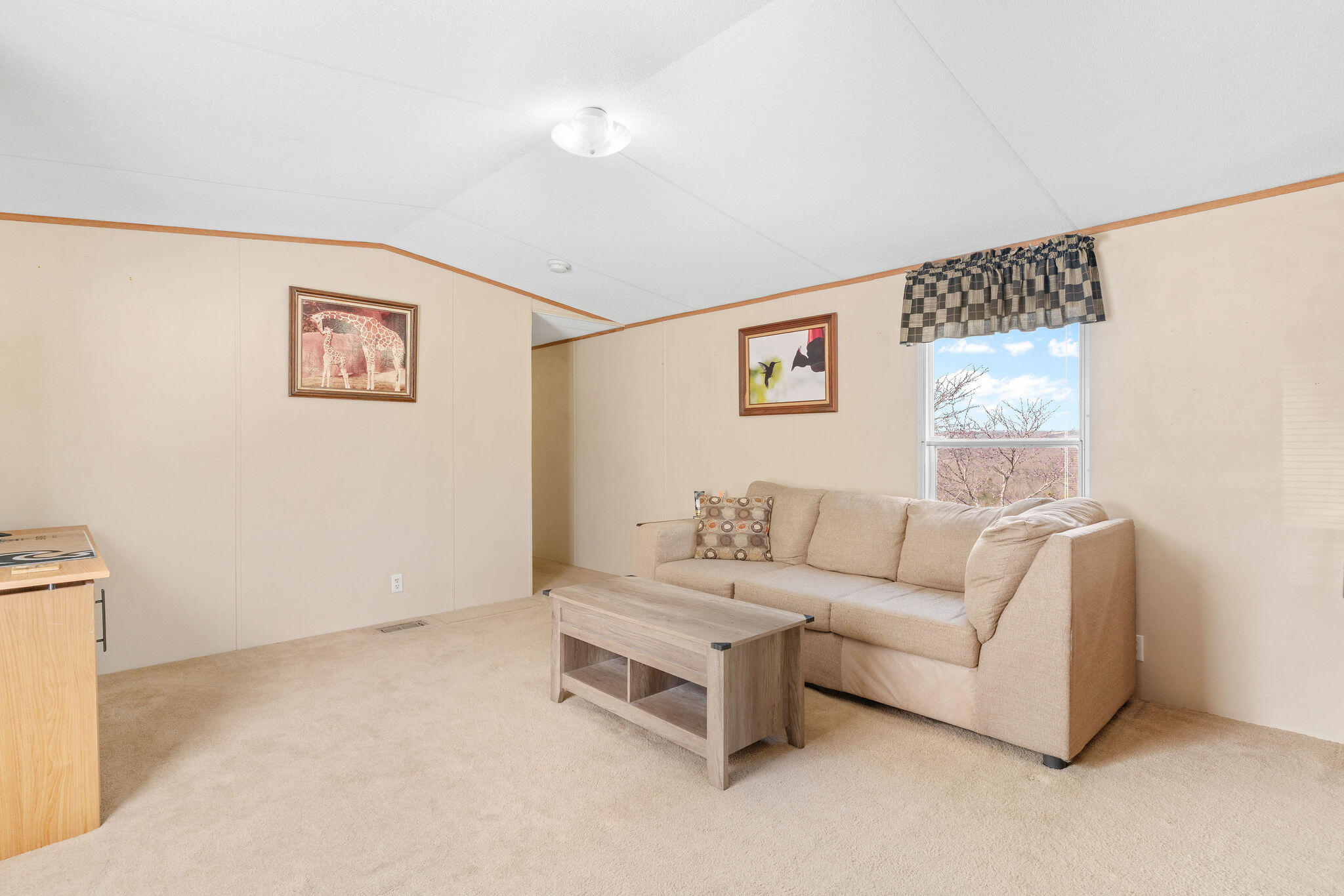 8006 Cliff Drive Property Photo 16