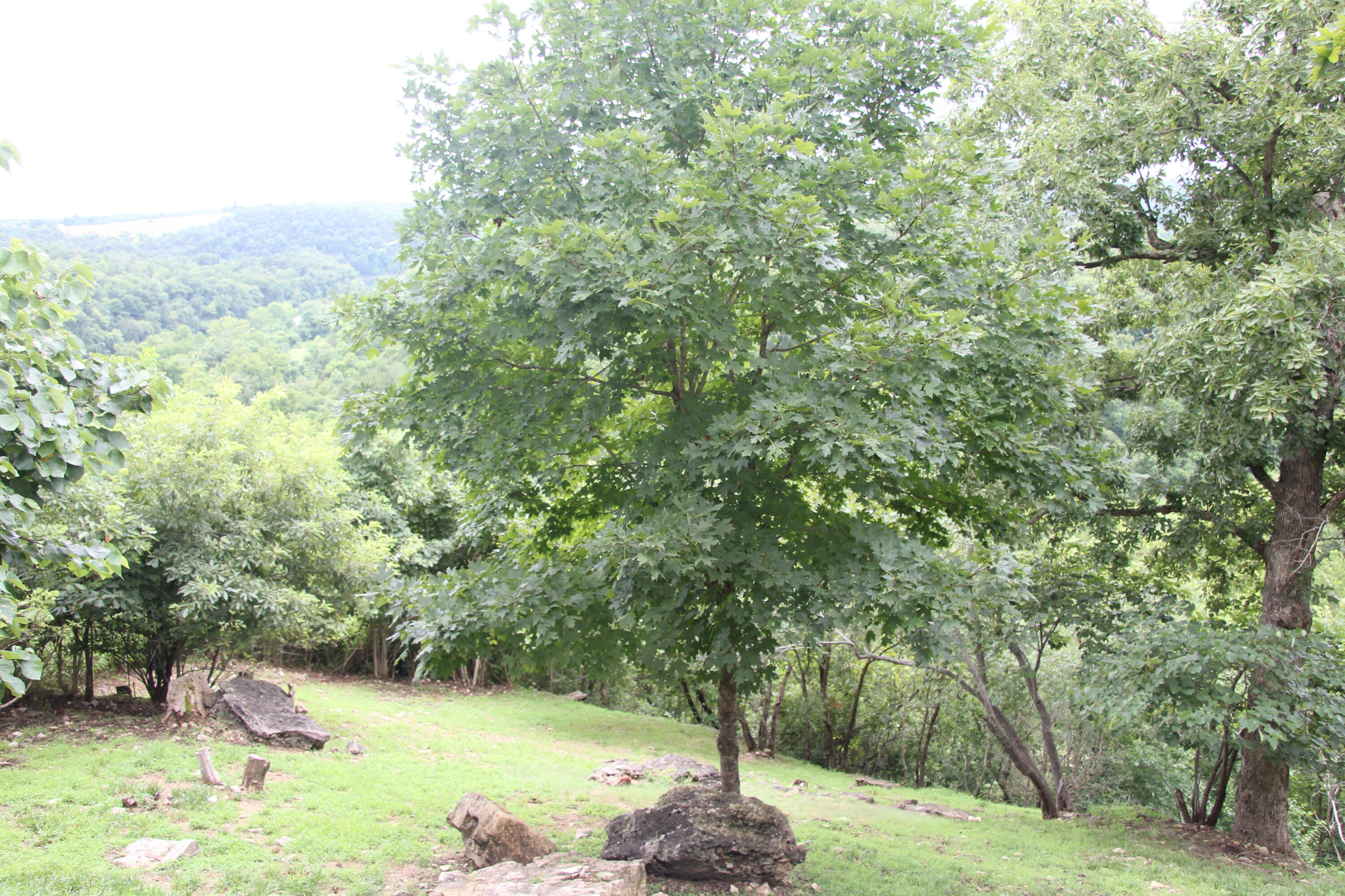 8006 Cliff Drive Property Photo 37