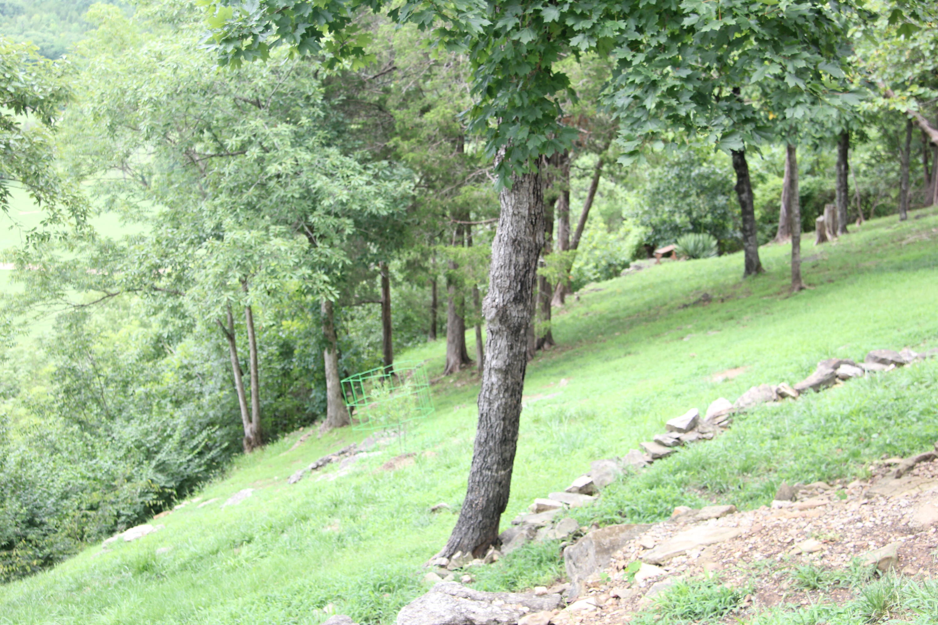 8006 Cliff Drive Property Photo 38
