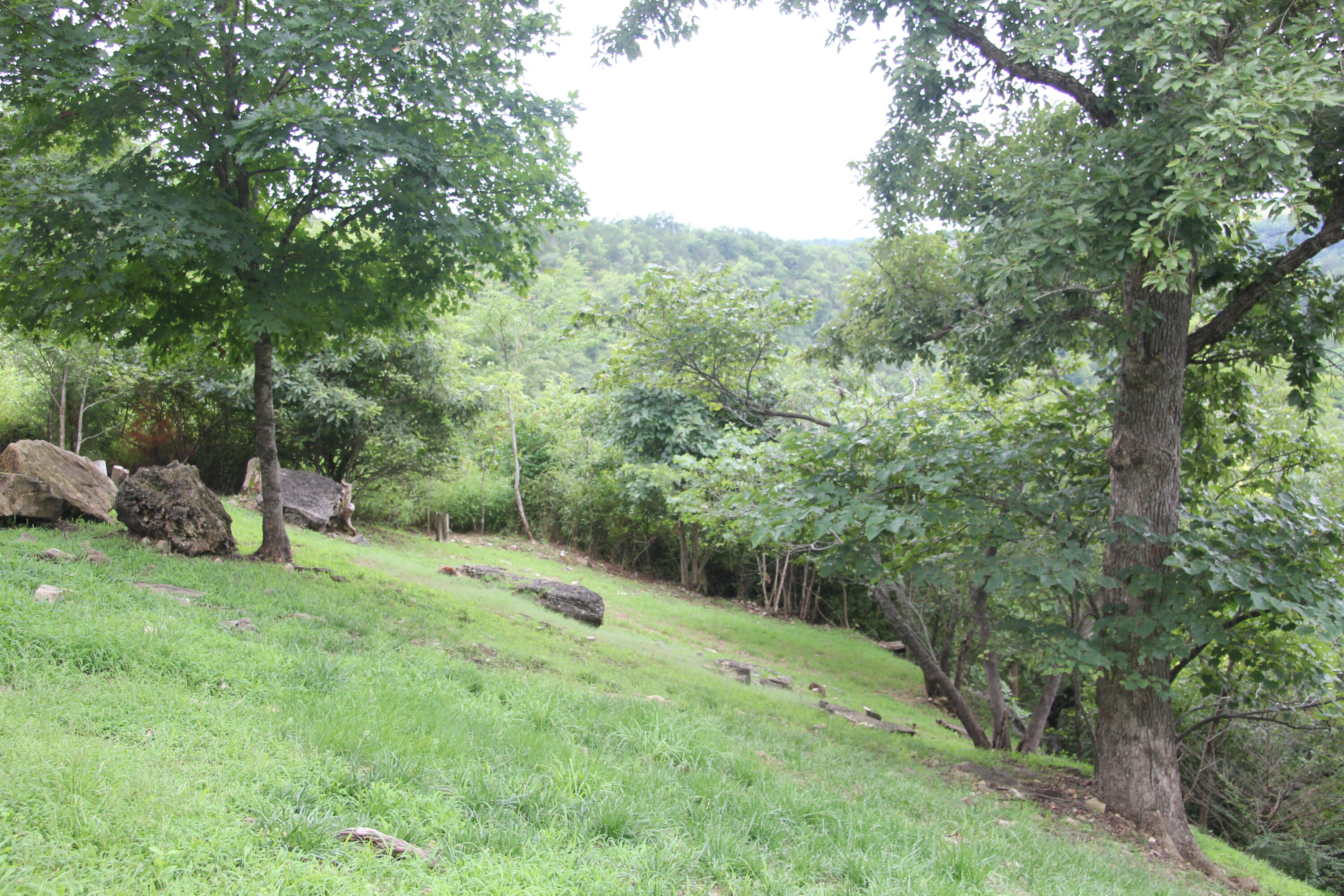 8006 Cliff Drive Property Photo 52
