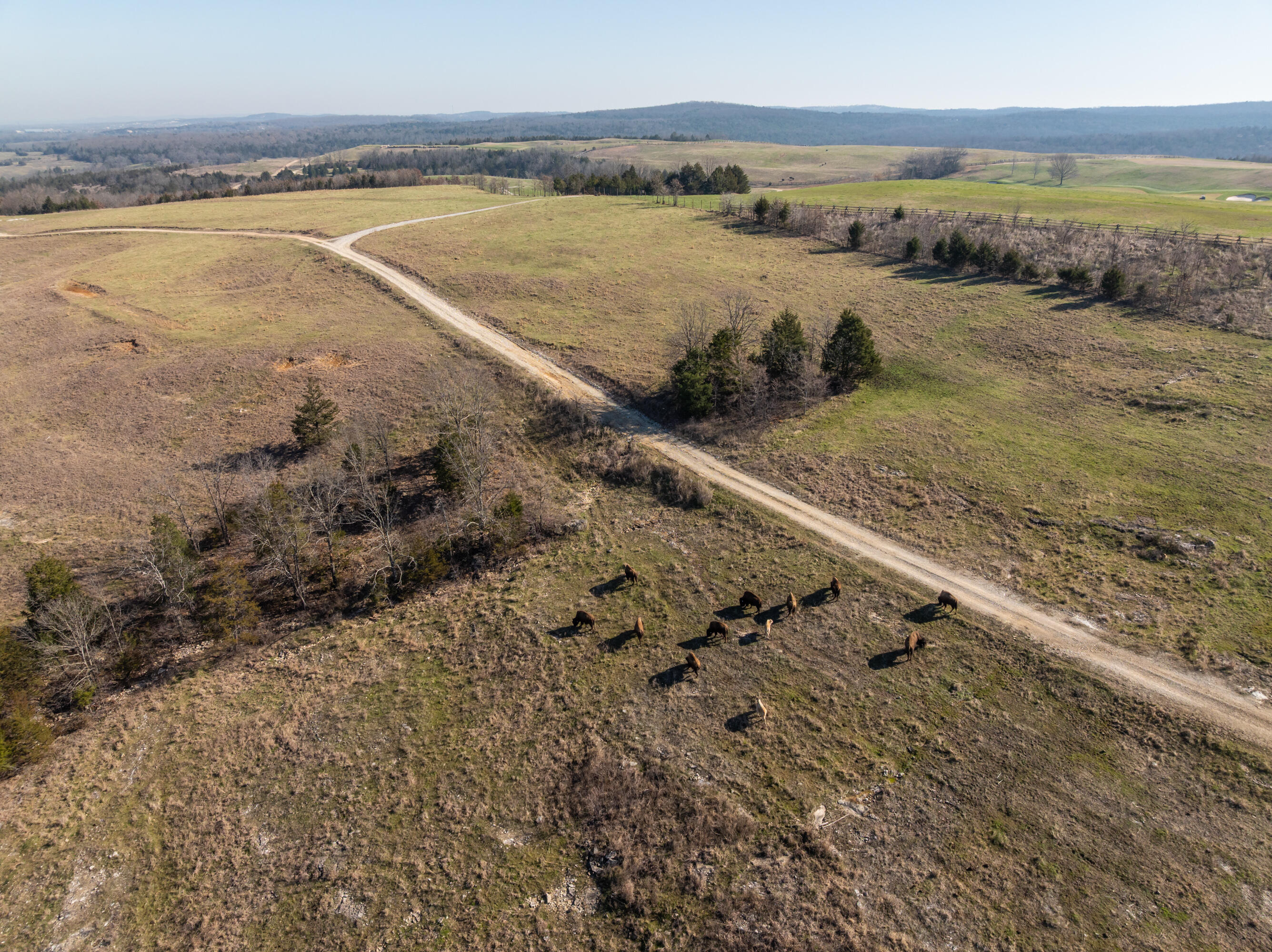 157 North Tuscany Drive Property Photo 44