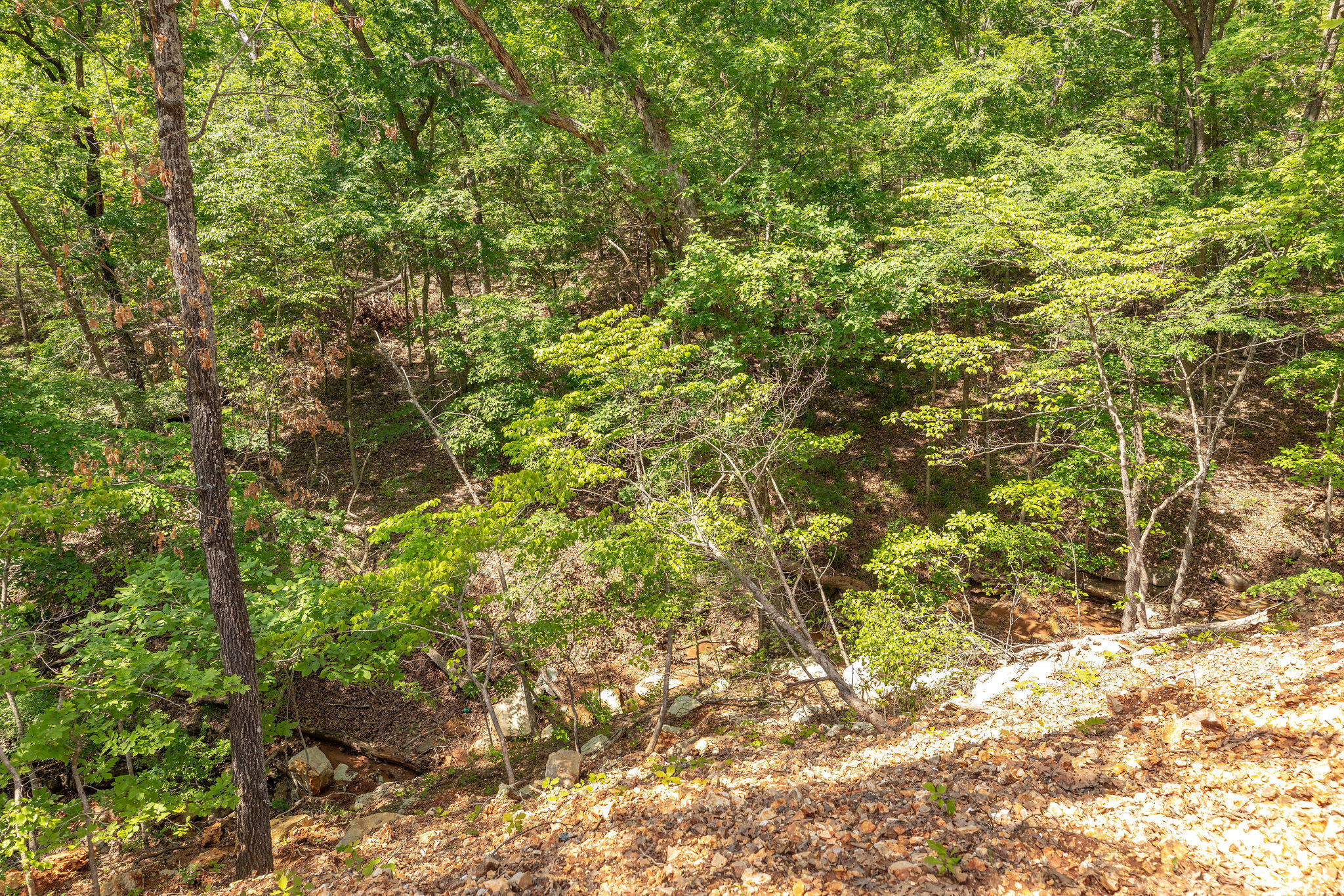 130 Loch Drive Property Photo 15