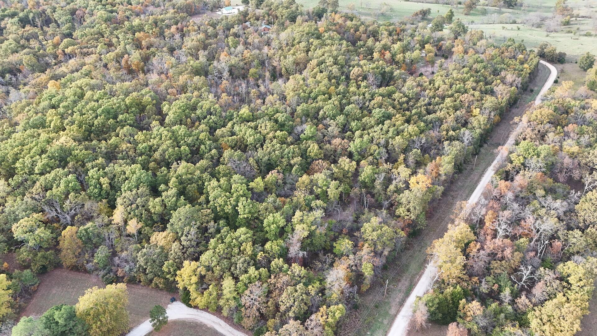 000 Southeast 451 Road Property Photo 3
