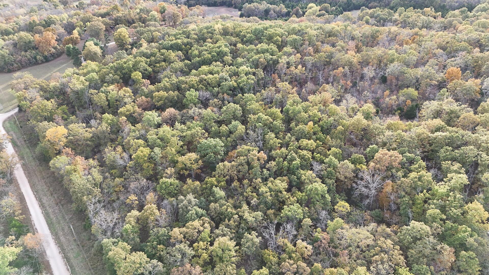 000 Southeast 451 Road Property Photo 4