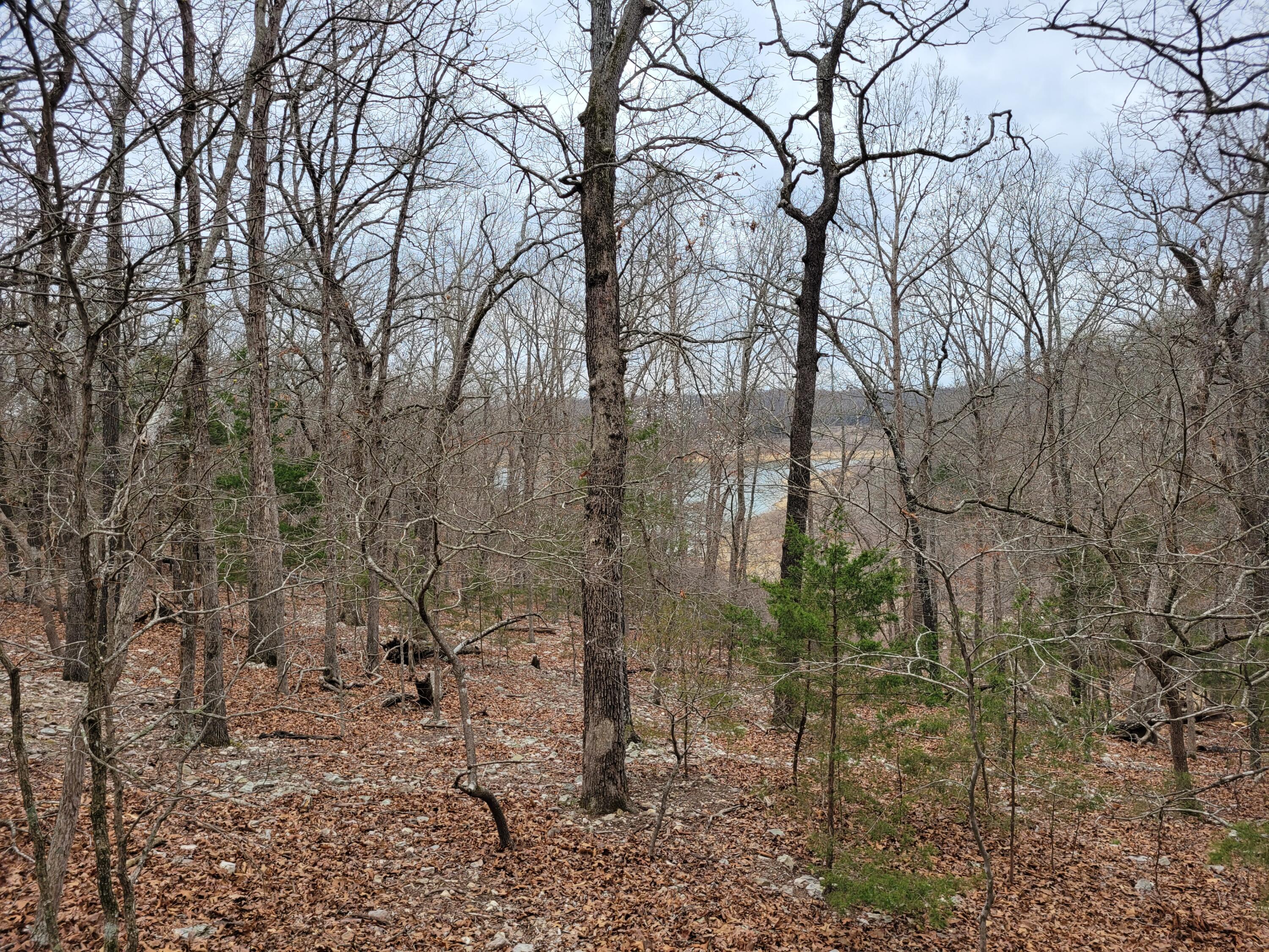 000 Lost Mine Road Property Photo 1