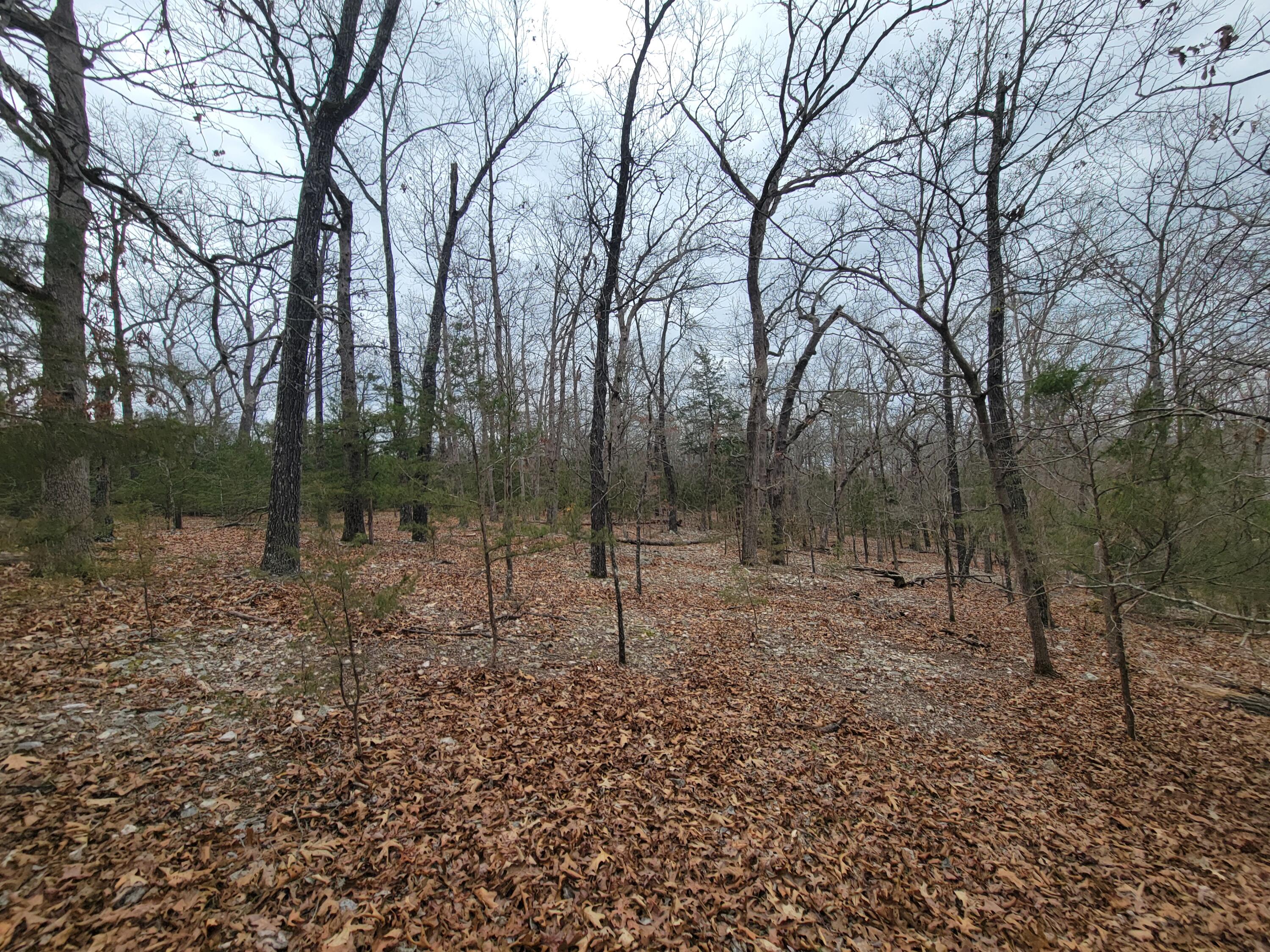 000 Lost Mine Road Property Photo 3