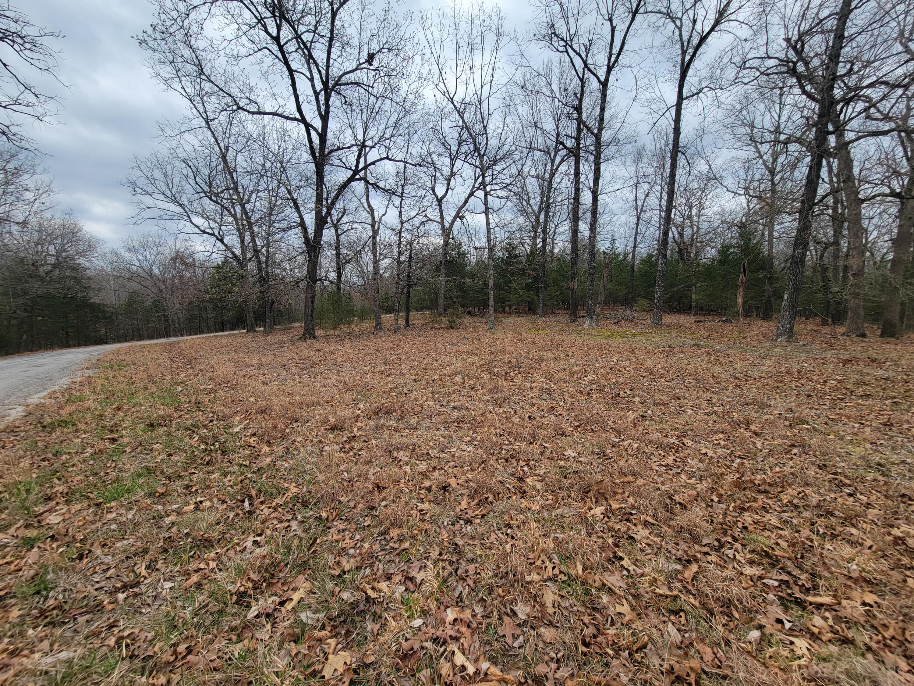 000 Lost Mine Road Property Photo 7