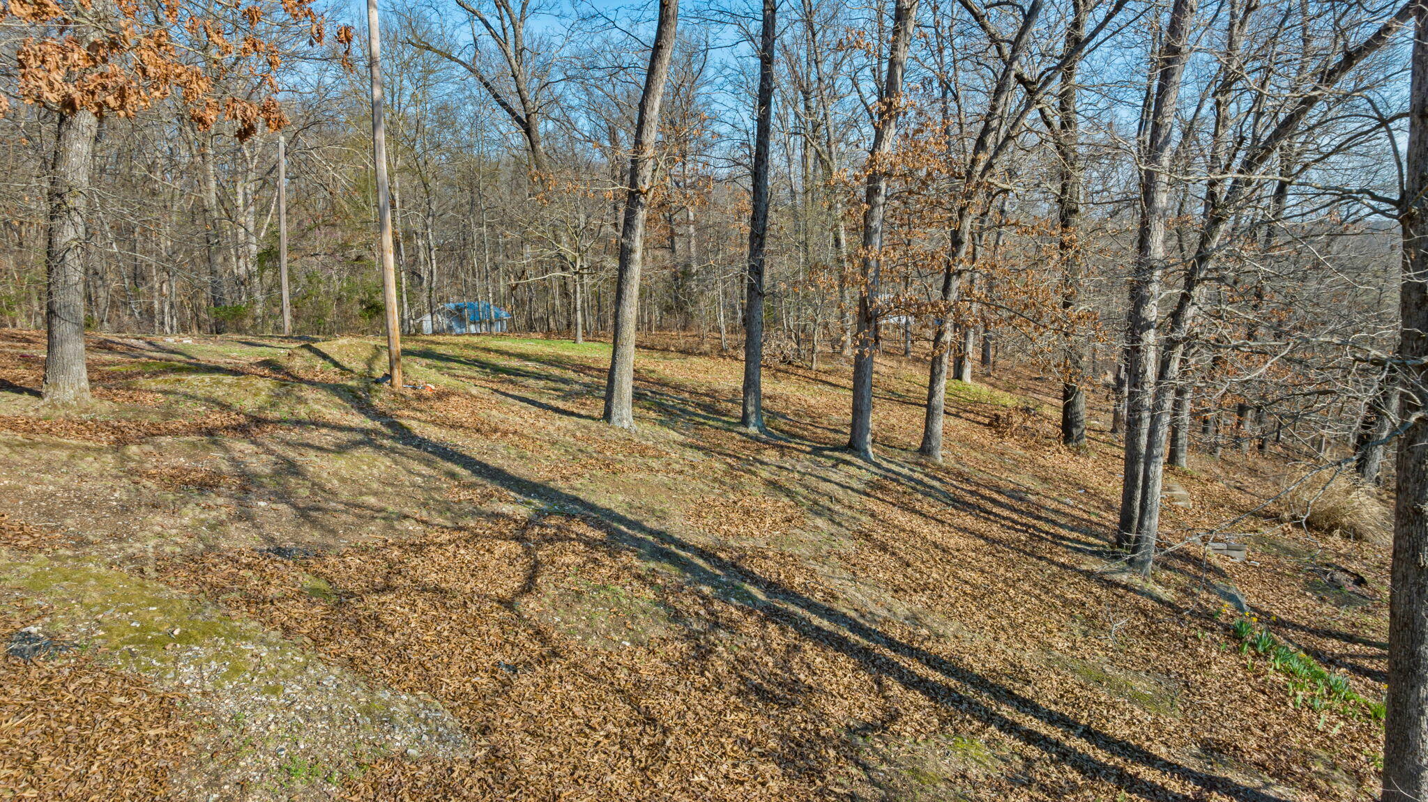 300 Summit Lane Property Photo 7