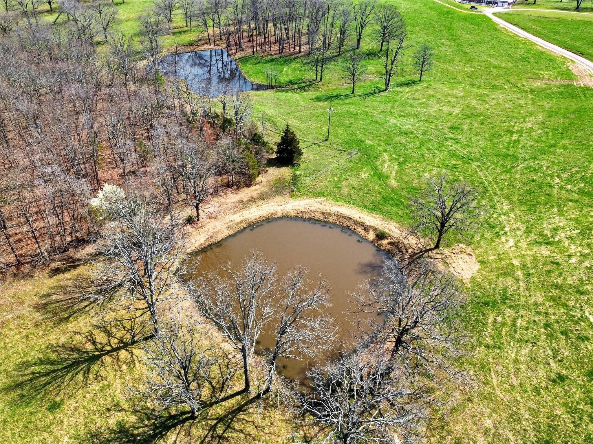 8896 State Route Zz Property Photo 61