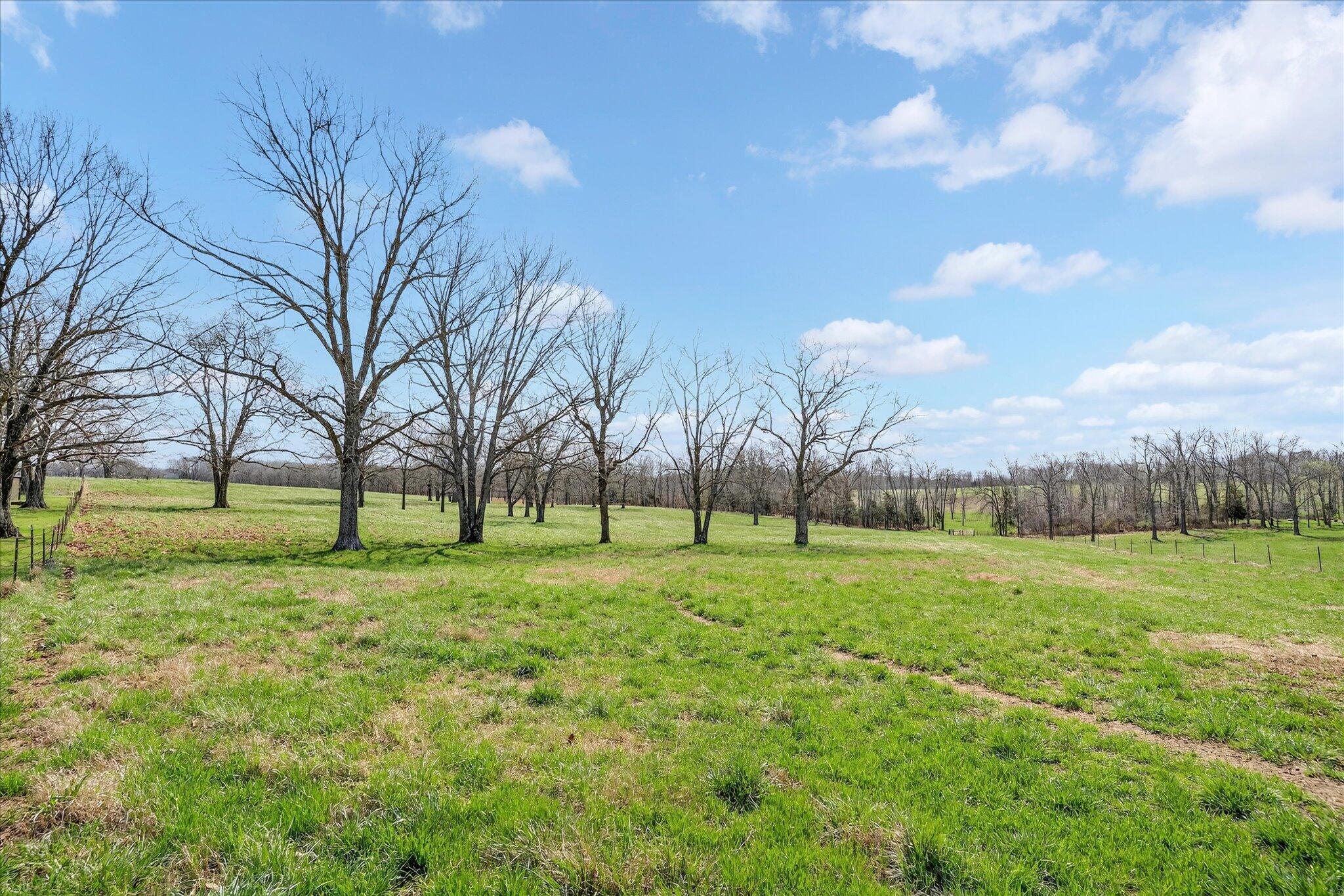 8896 State Route Zz Property Photo 63