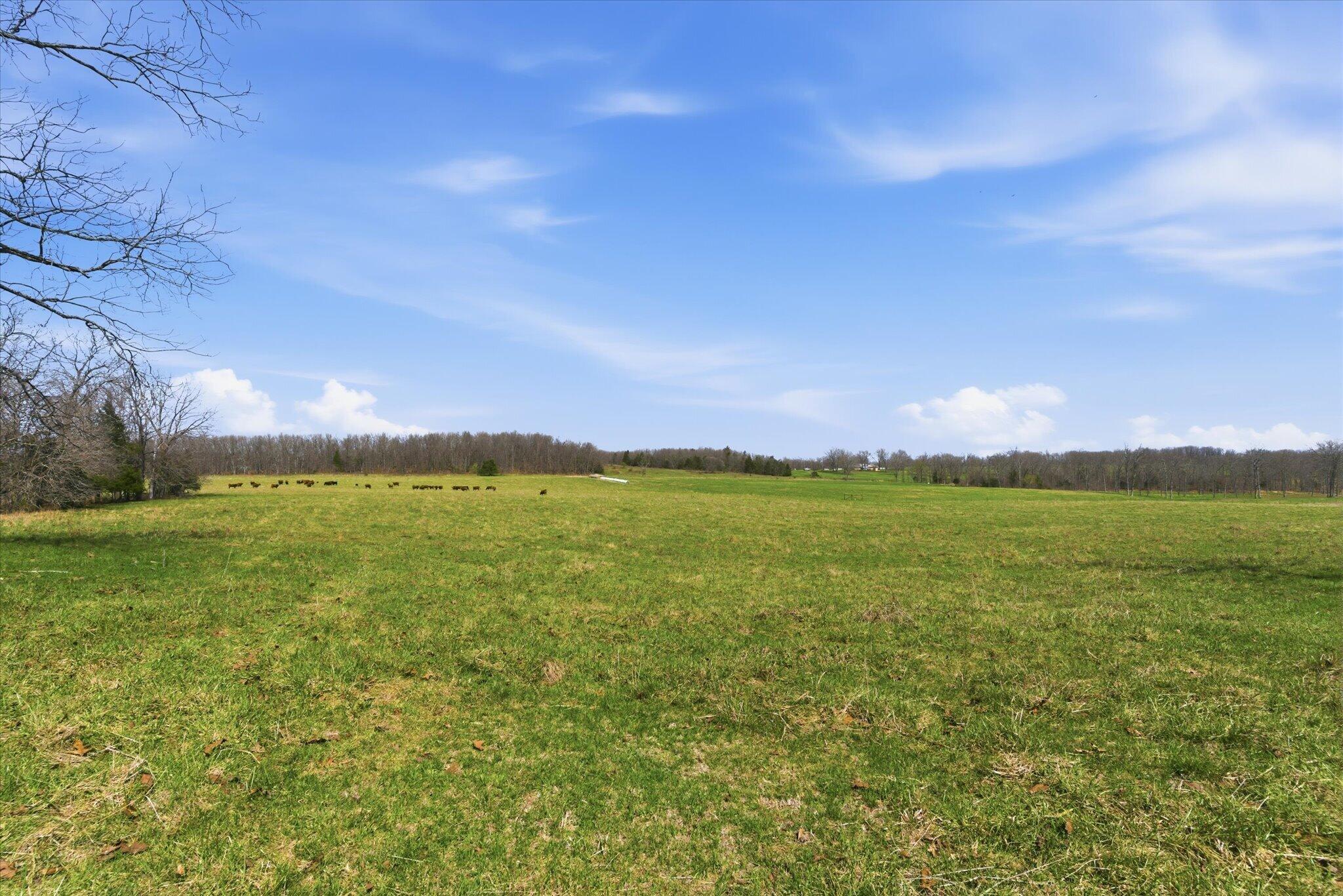 8896 State Route Zz Property Photo 66