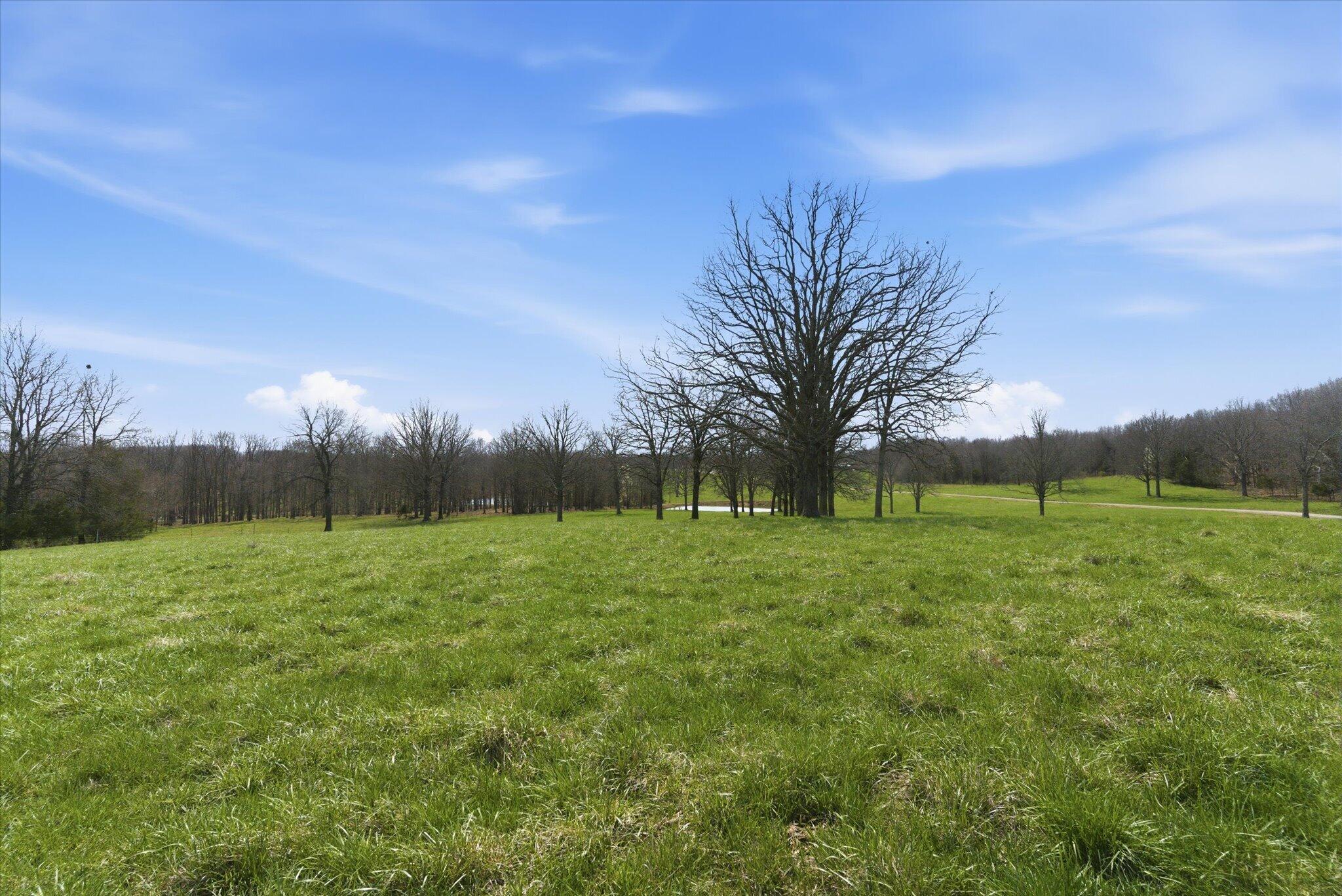 8896 State Route Zz Property Photo 67