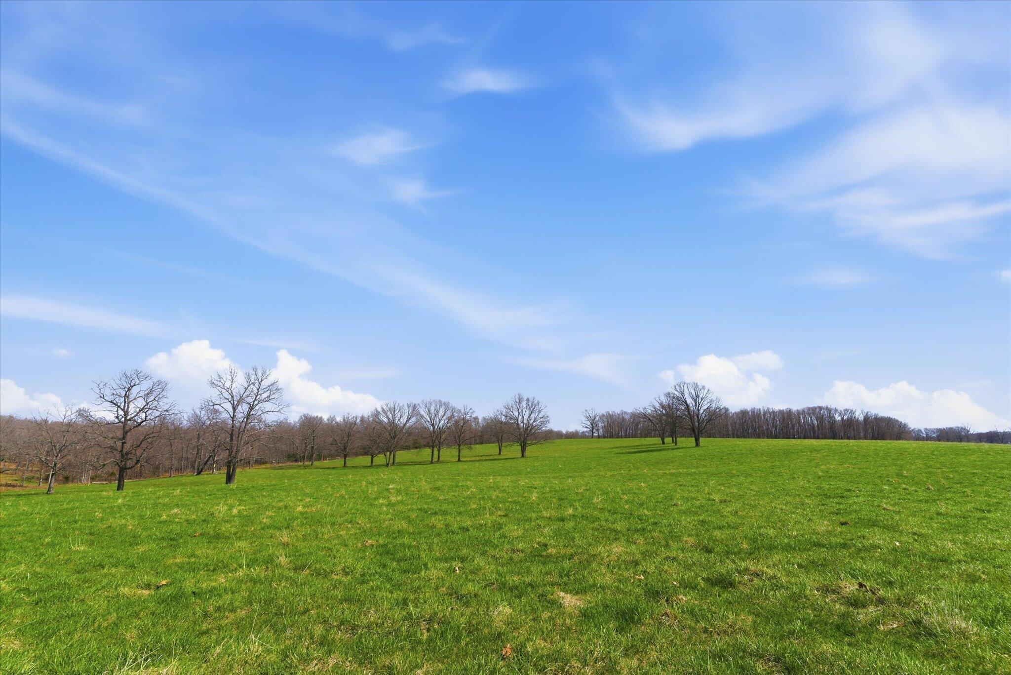 8896 State Route Zz Property Photo 69