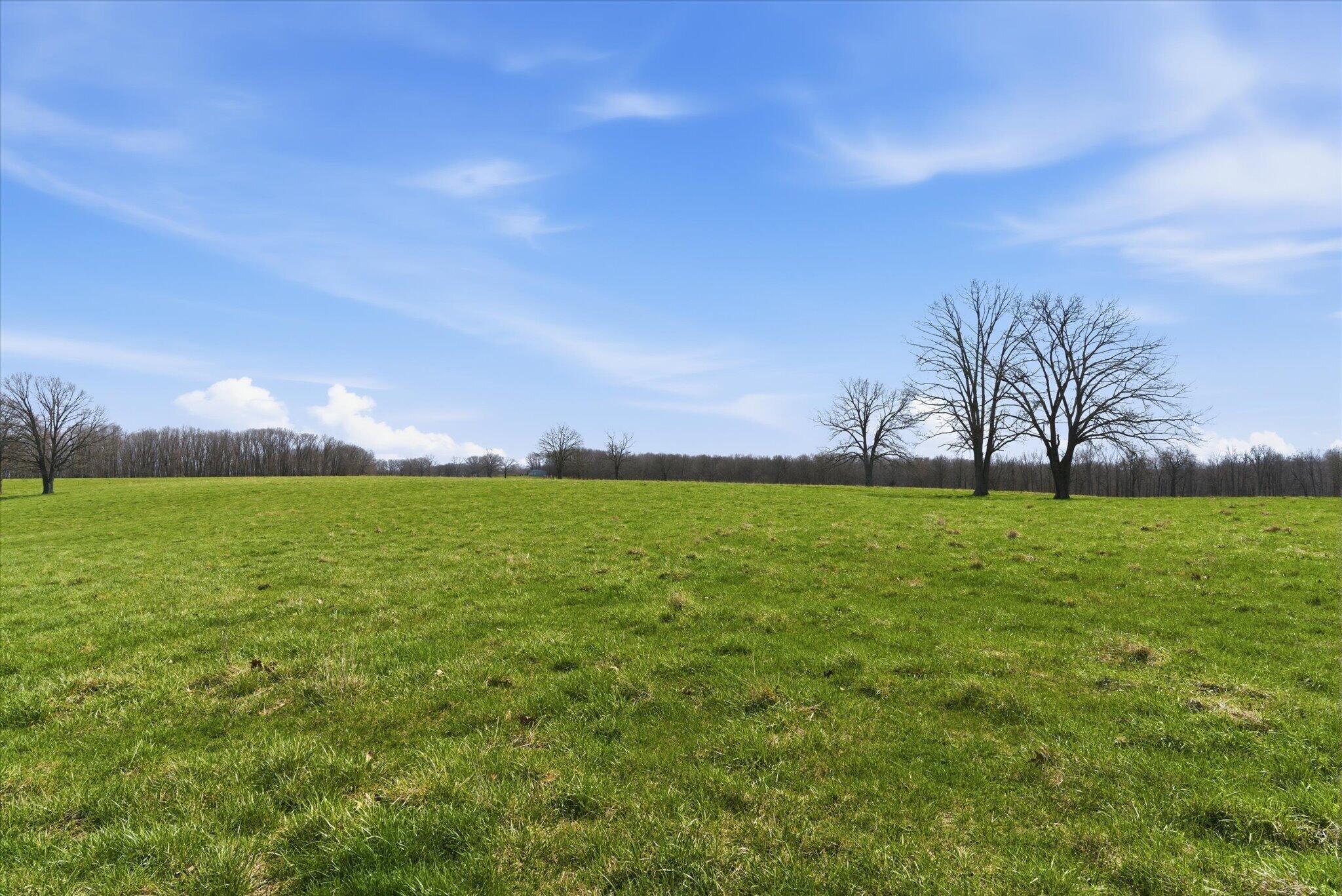8896 State Route Zz Property Photo 70