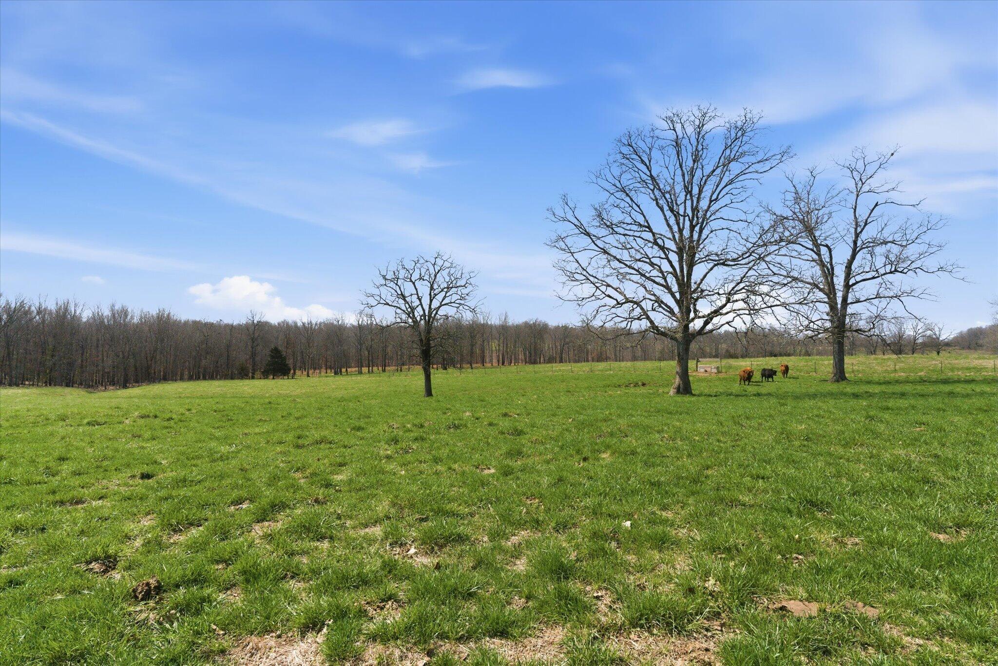 8896 State Route Zz Property Photo 72